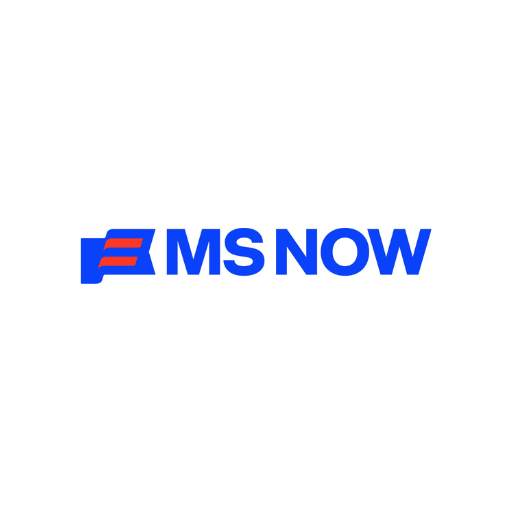 Media-Strategy-Experts-MS Now.png