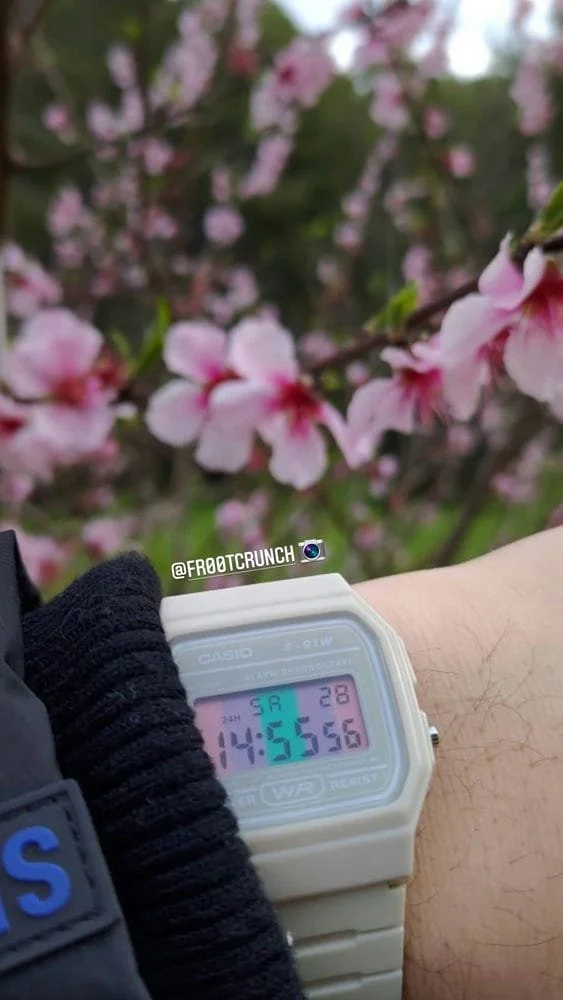custom-casio-puracustoms-community-captures (38).jpg