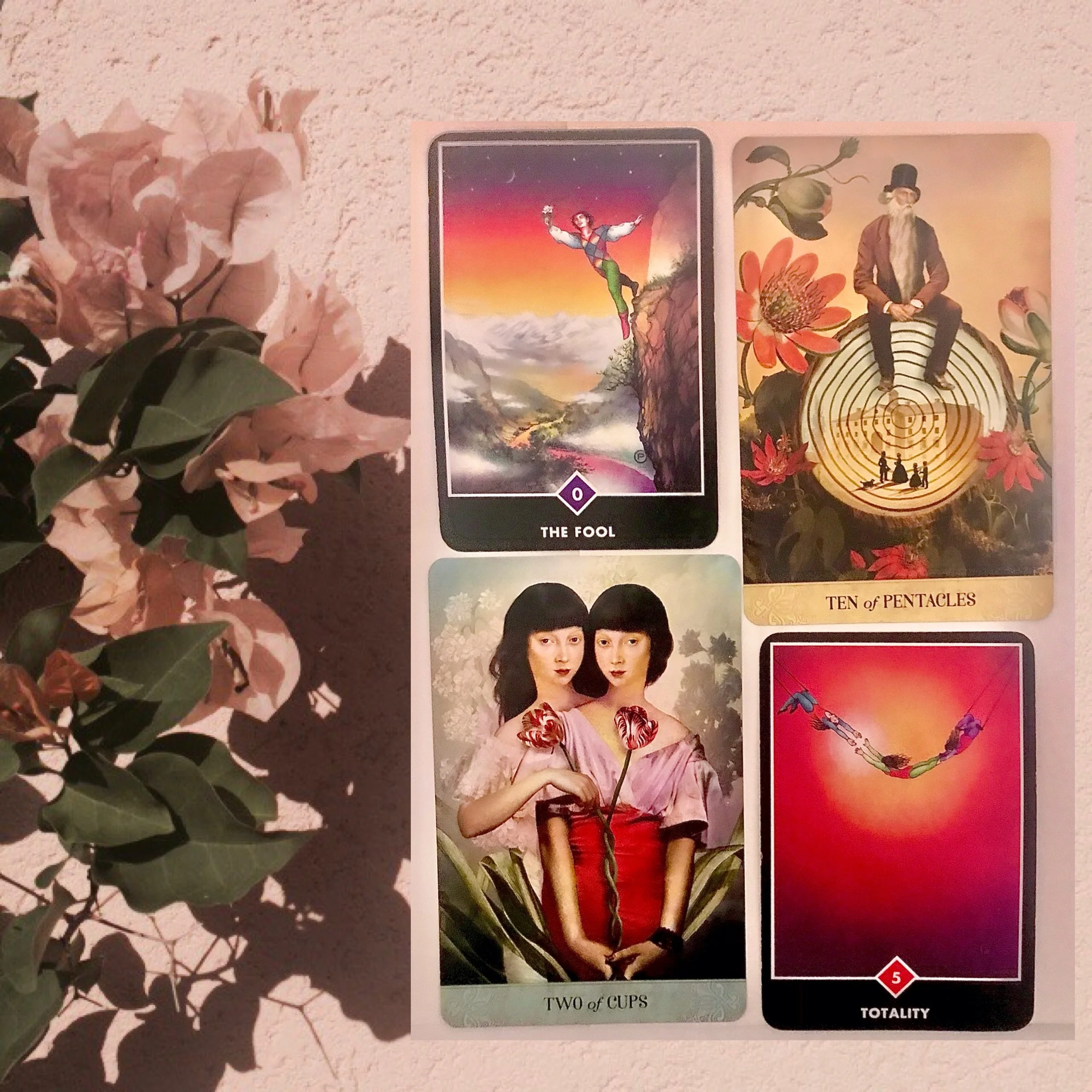 Four tarot cards with artistic images on a wall next to a pink plant.