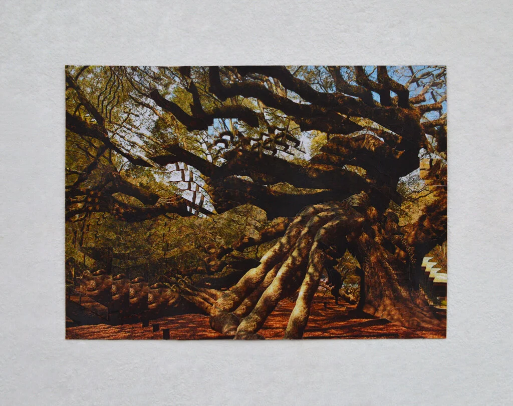Hilary Pecis Untitled, photo collage on paper, 38cm x 27.5cm, 2013