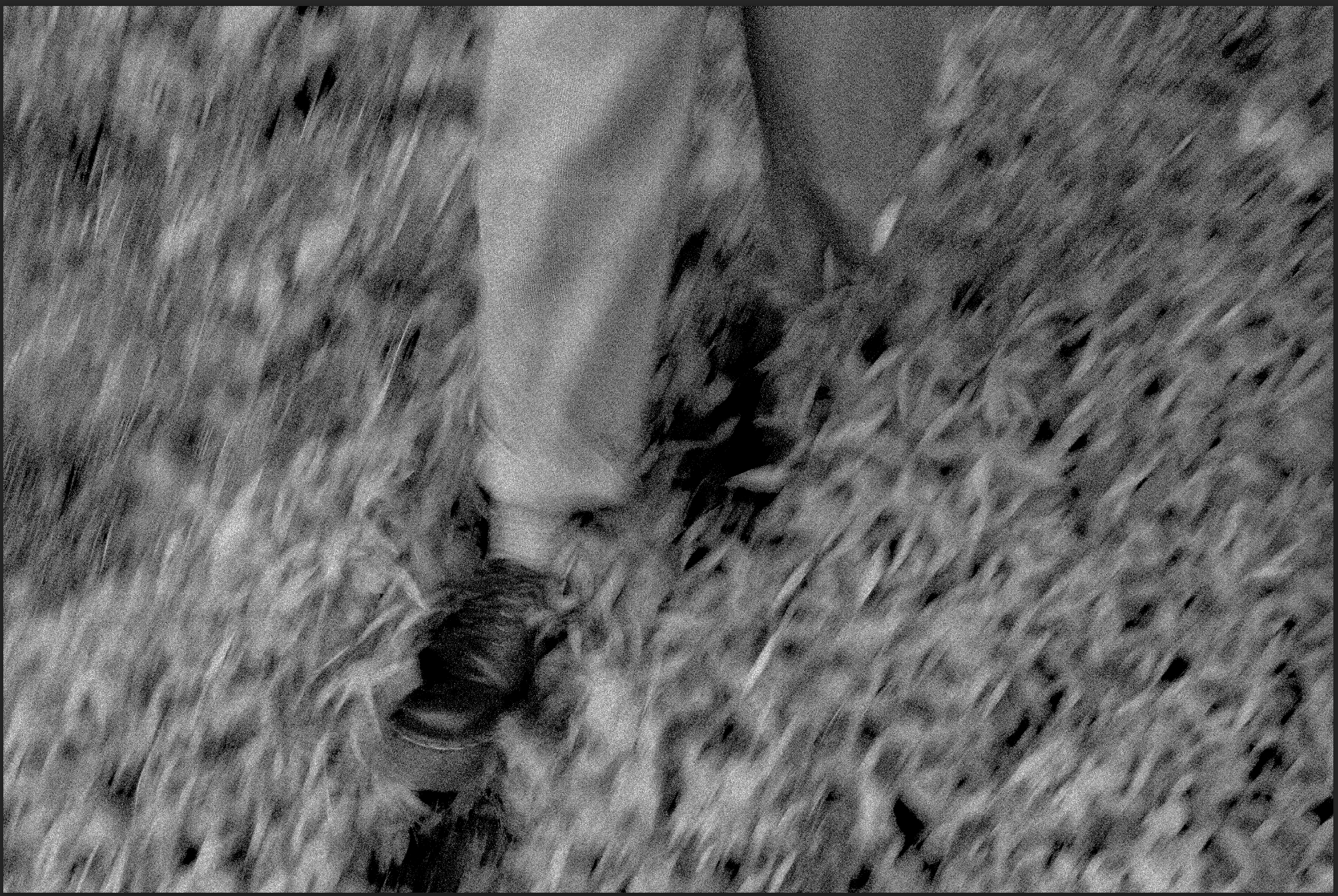 Screenshot 2024-09-18 164604.png