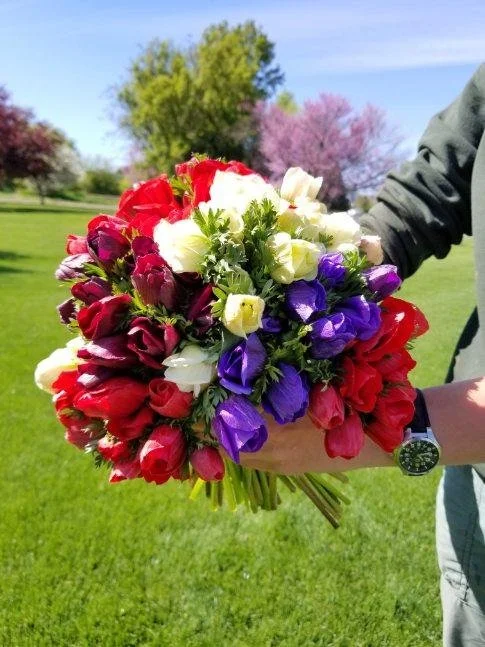 Anemone Production FS released