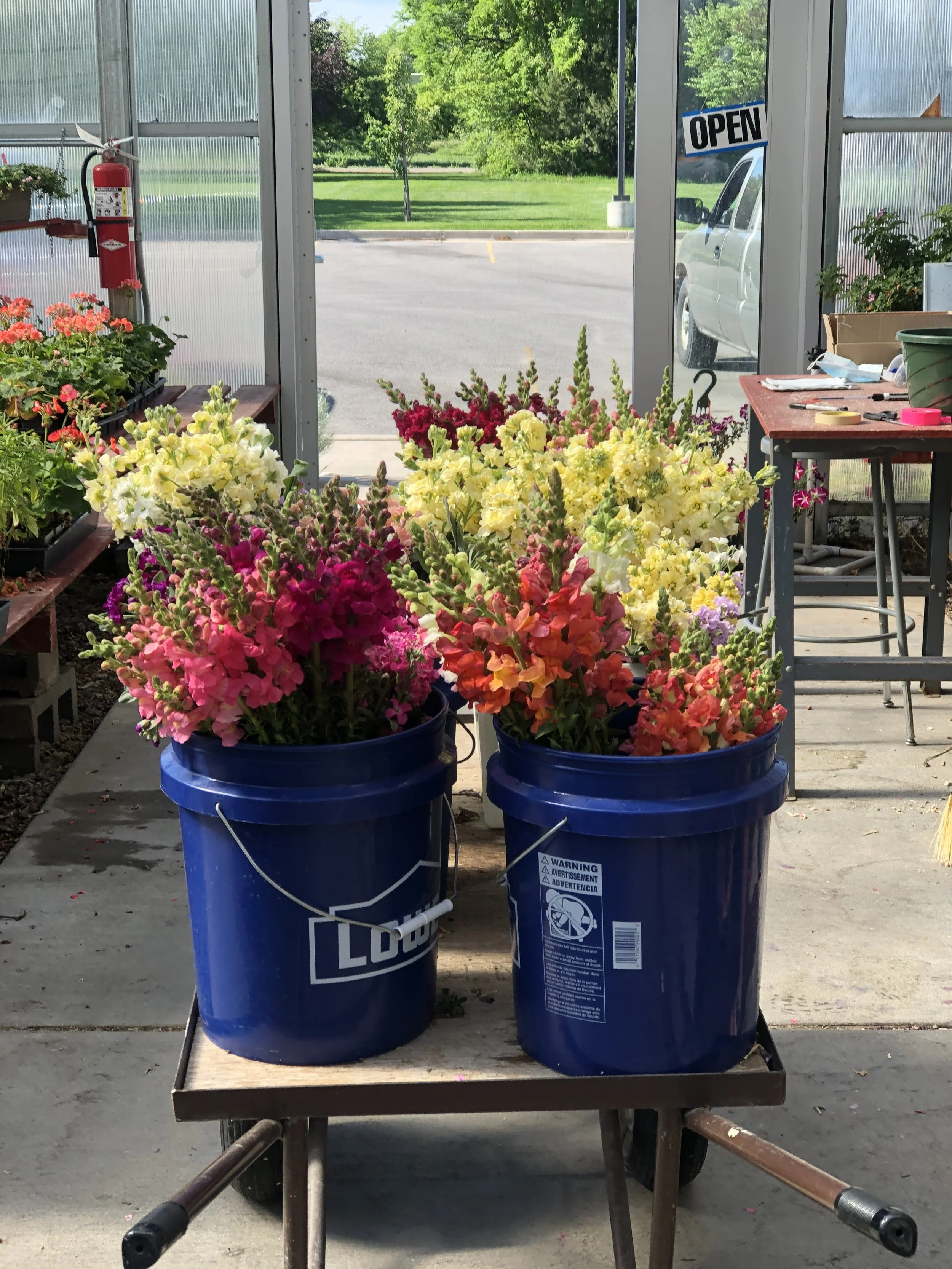 New FS on Florist Survey