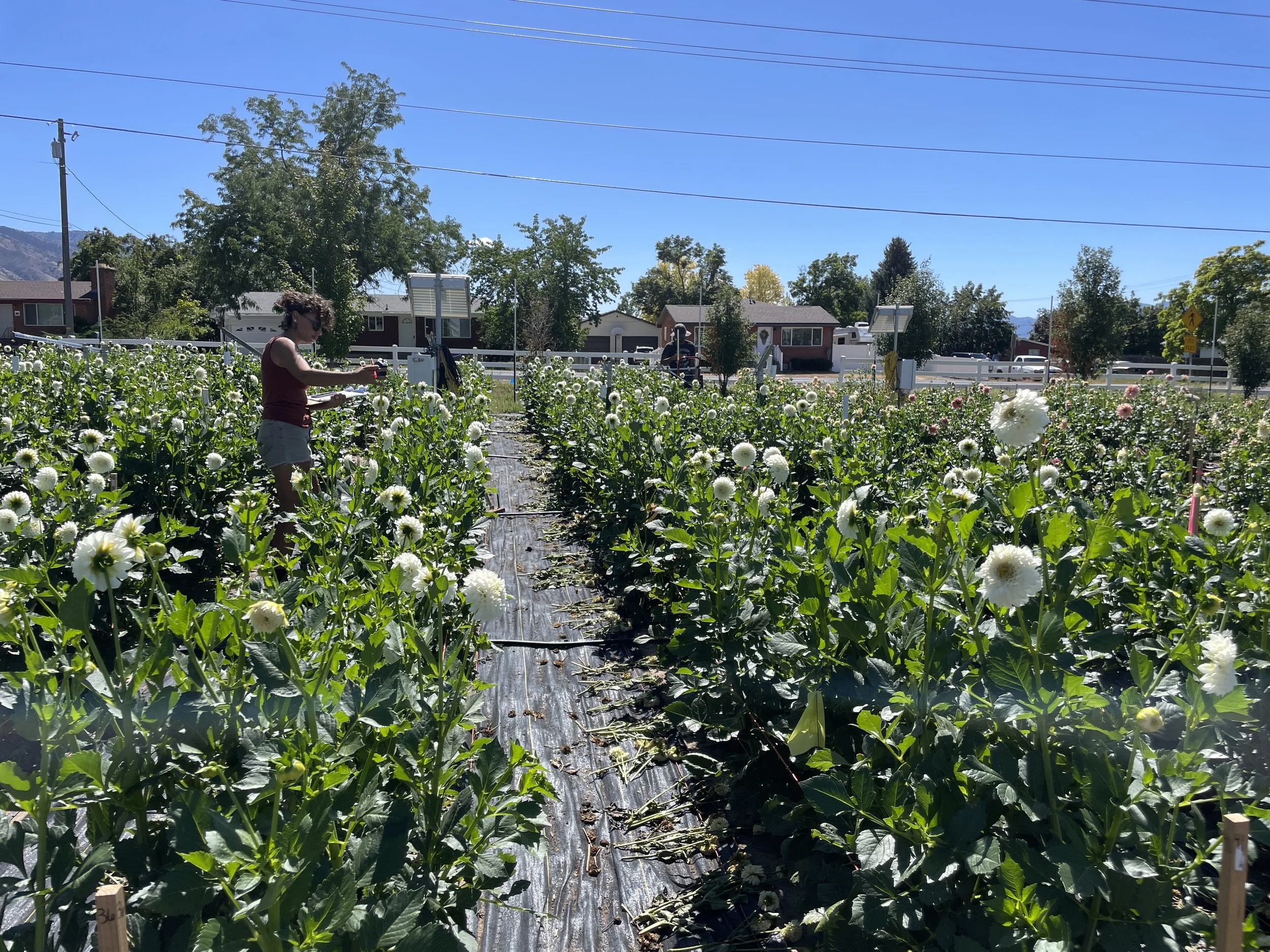 UCFFA Winter Conference presentation