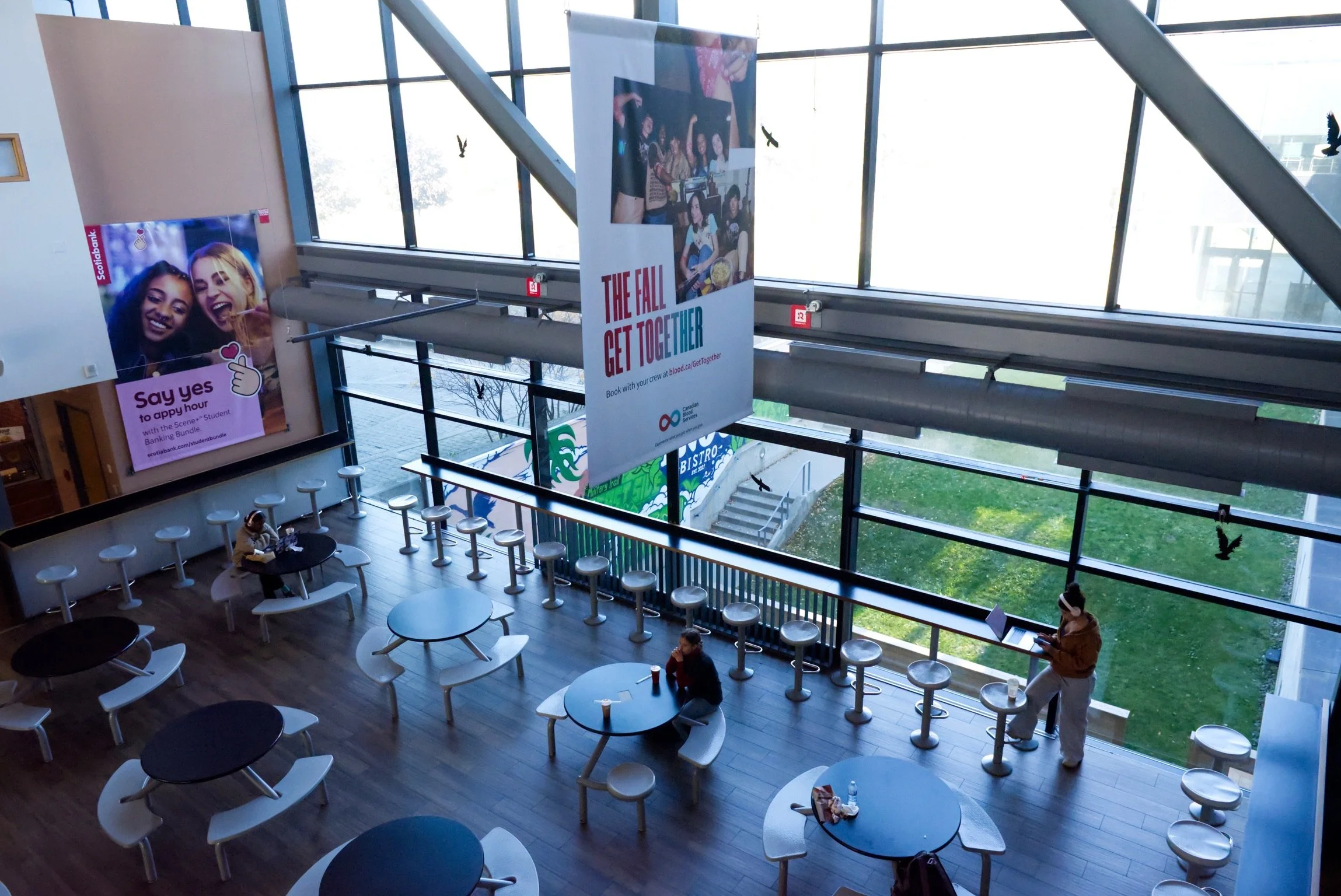 The Architecture of Belonging