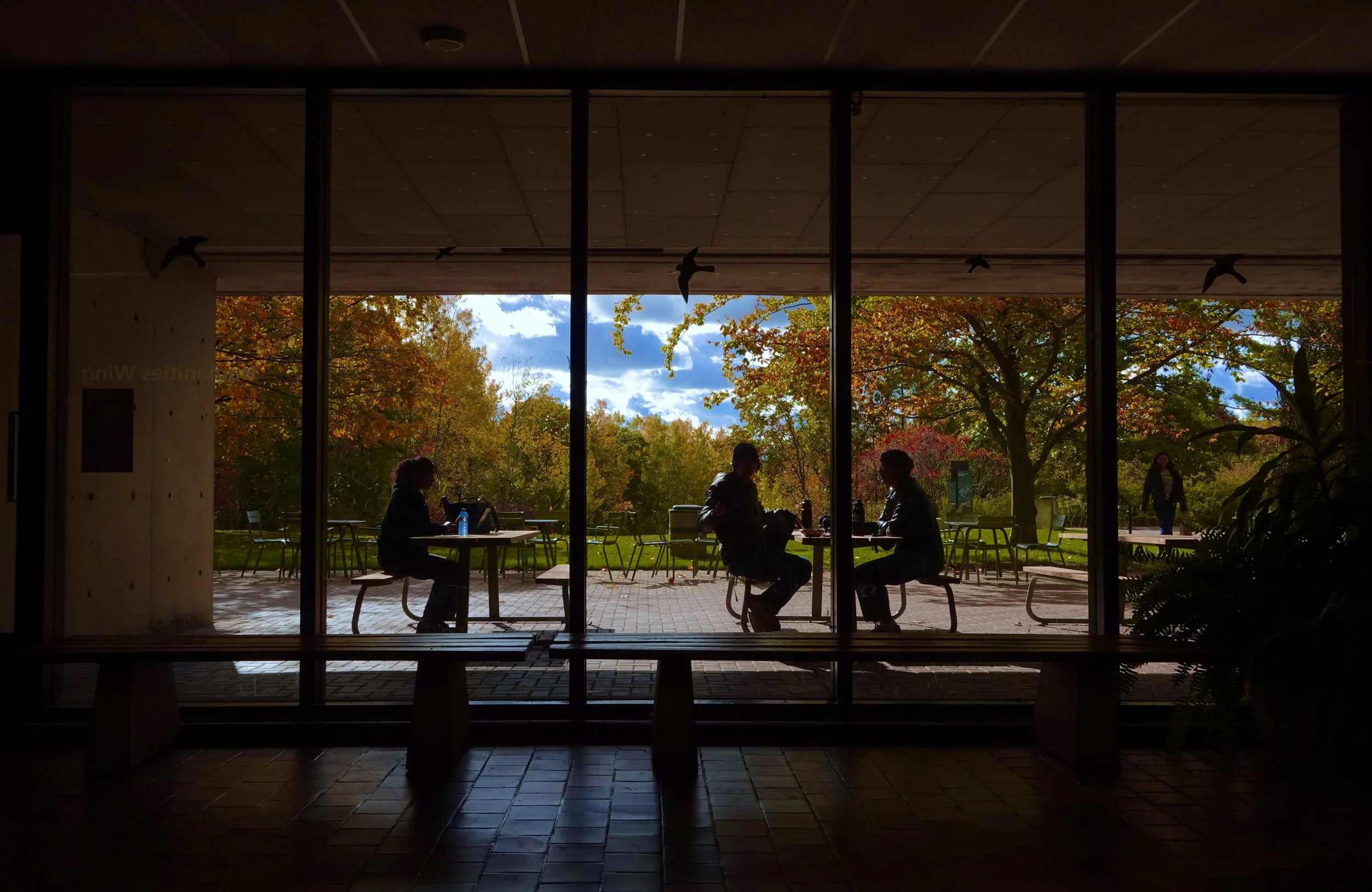 It’s raining leaves at UTSC