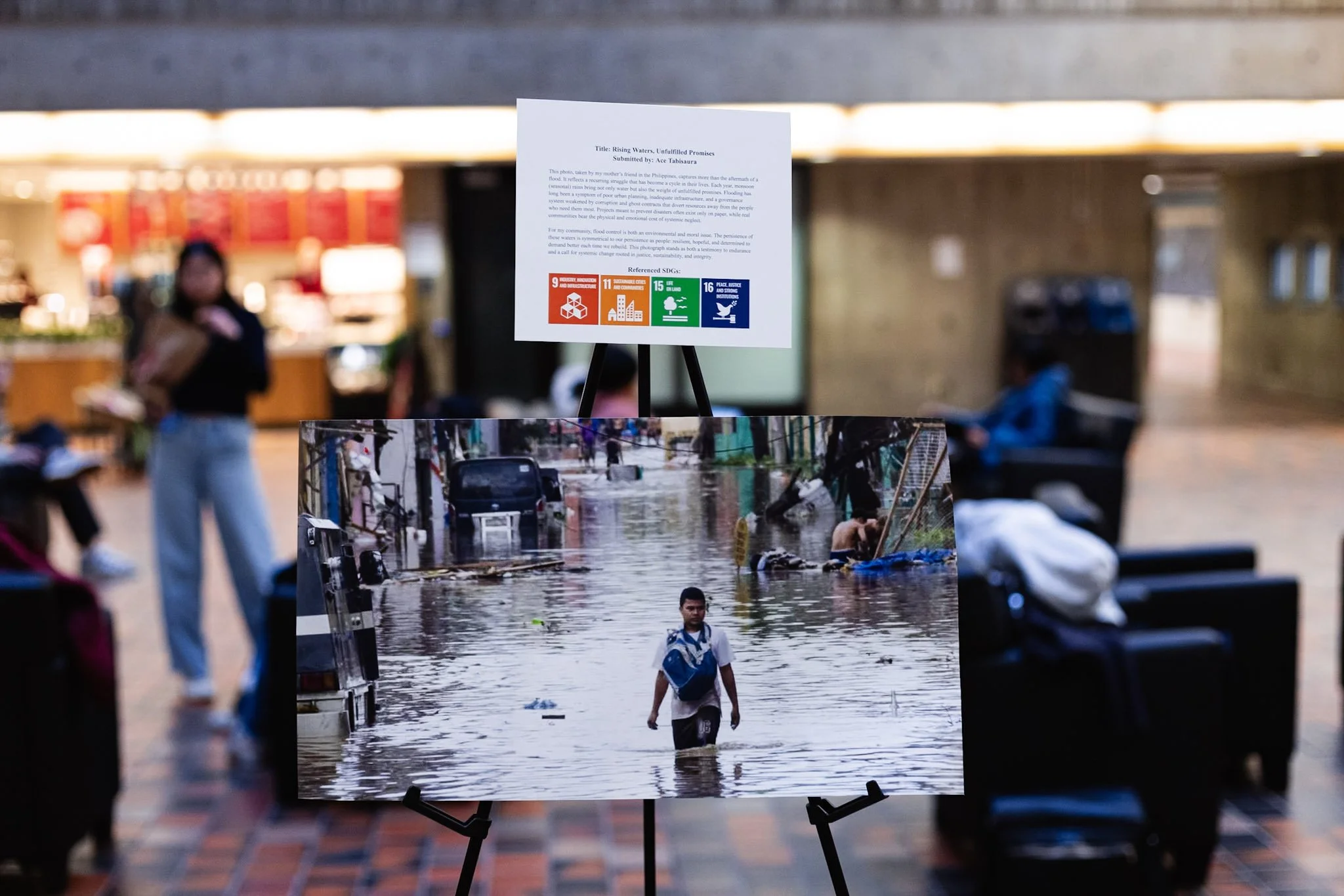 Sustainability through Photographs: Inside the UTSC Eco-lens Exhibition