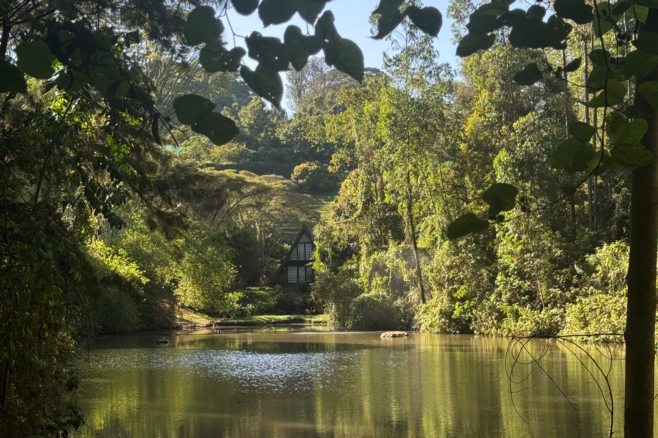 Home as a sound: Carrying where I am from