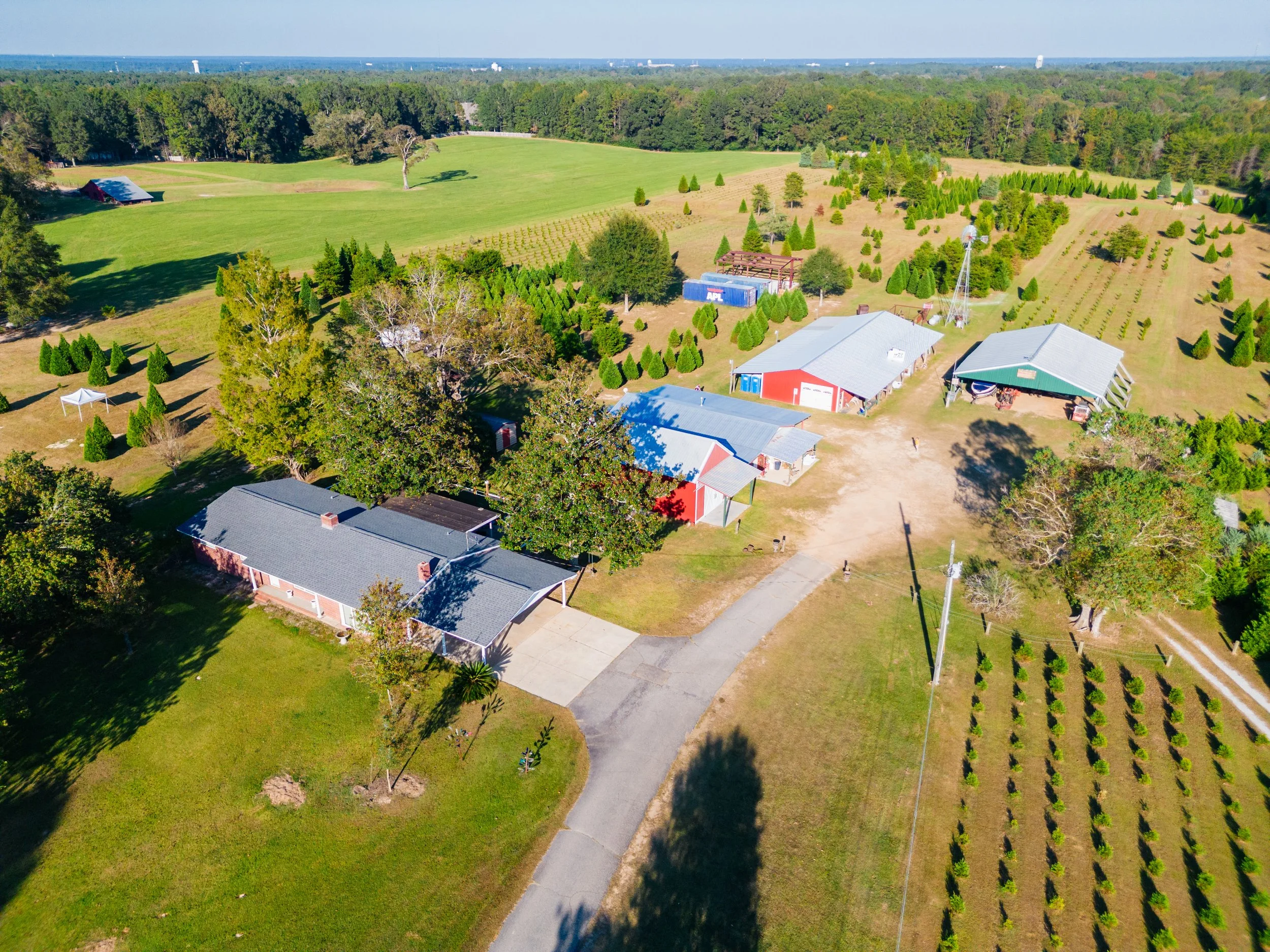 THE FARM — Jeremy Thomley