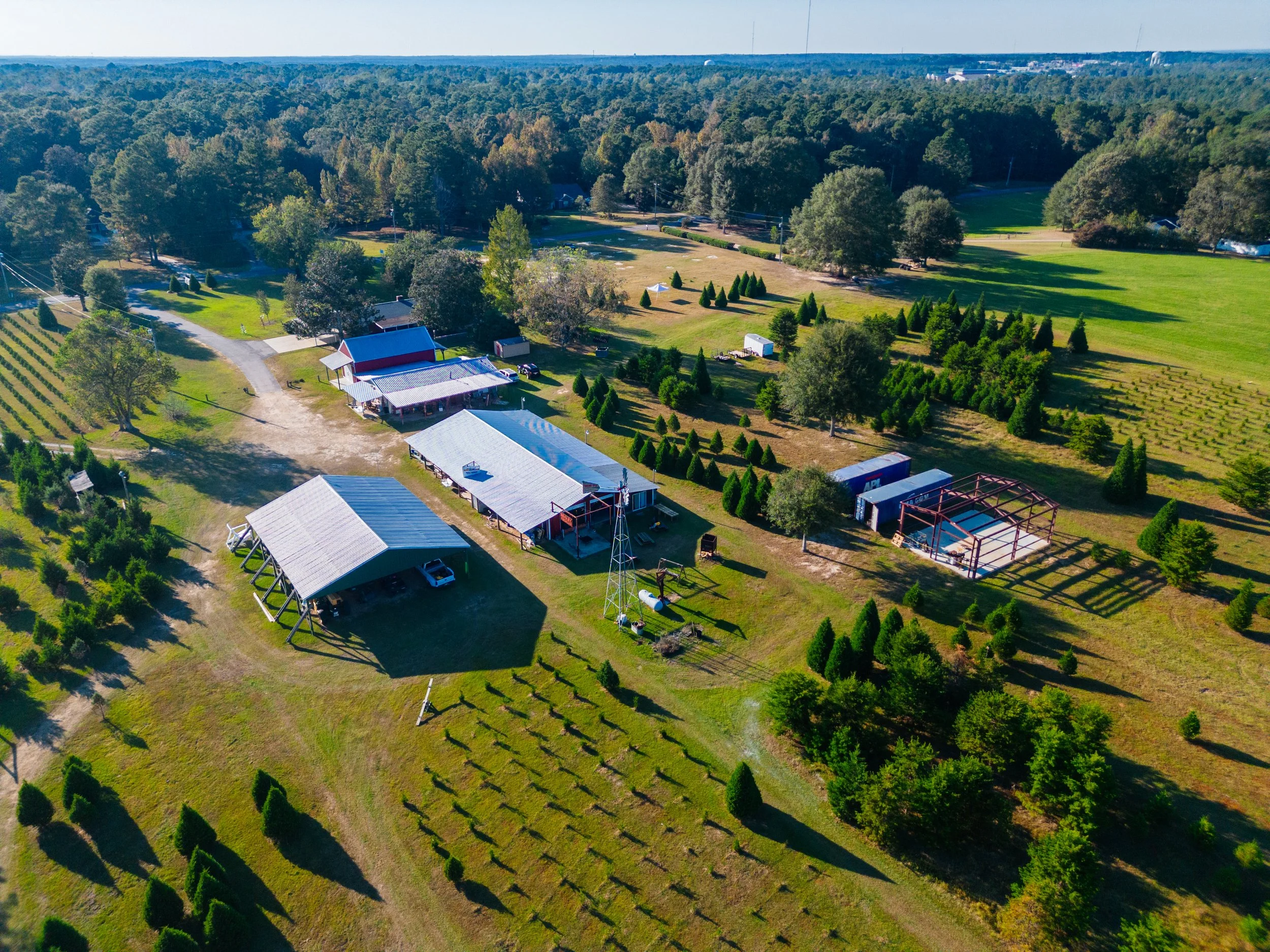 THE FARM — Jeremy Thomley