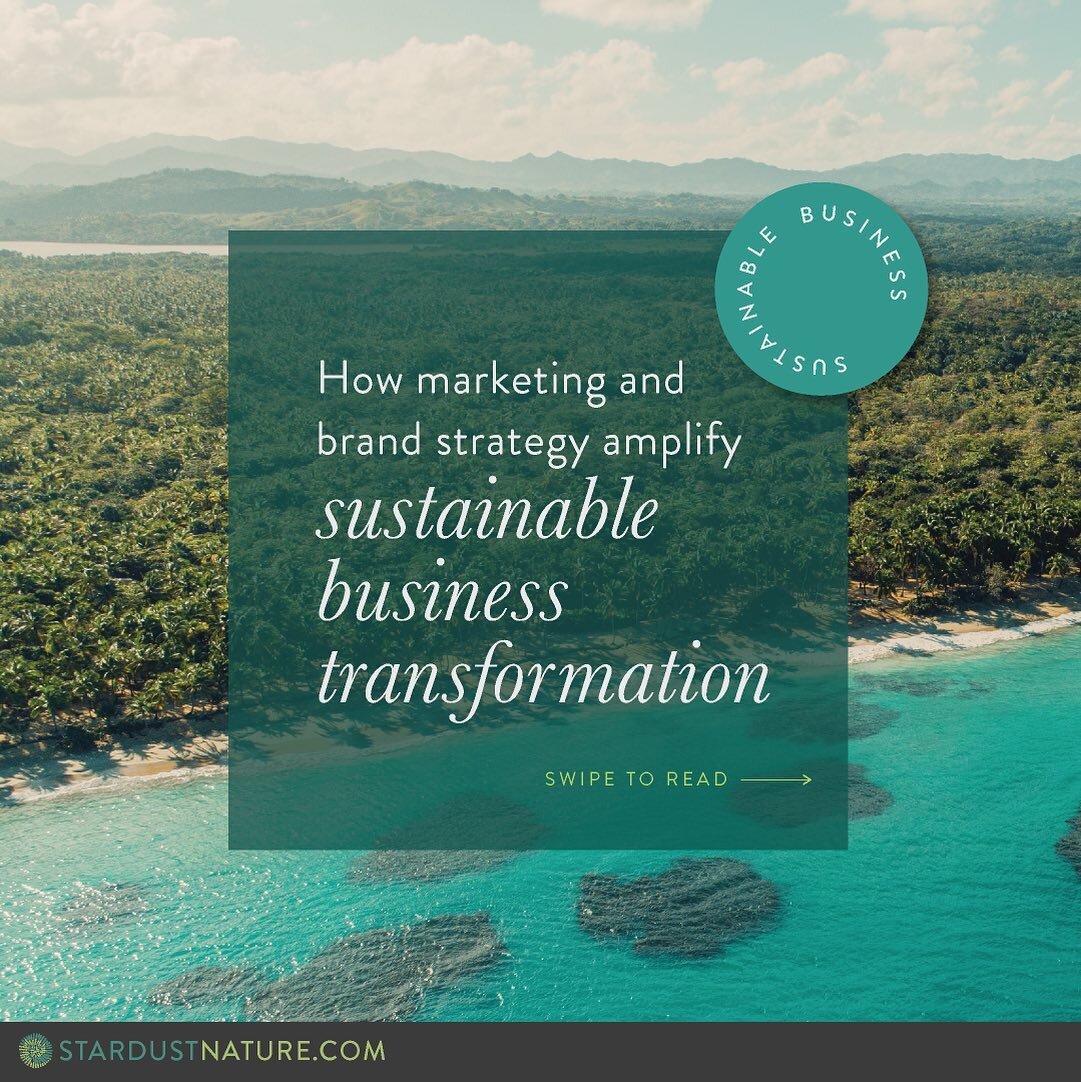 🌎 A recent collaborative study between EY teams and the University of Oxford&rsquo;s Sa&iuml;d Business School have shown that sustainability  transformations require very specific steps - steps that marketing and brand strategy functions excel at.
