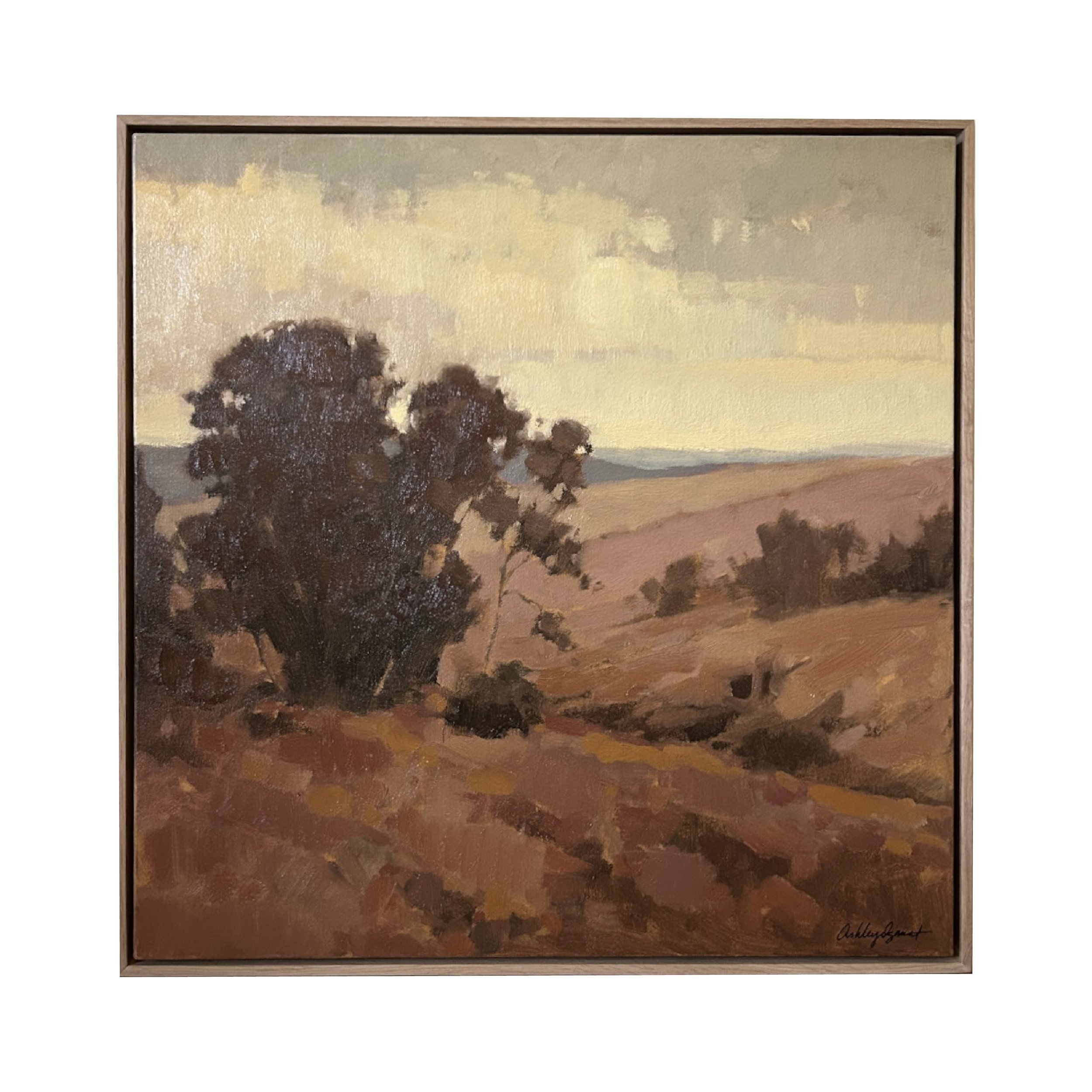 landscape in rose.jpg