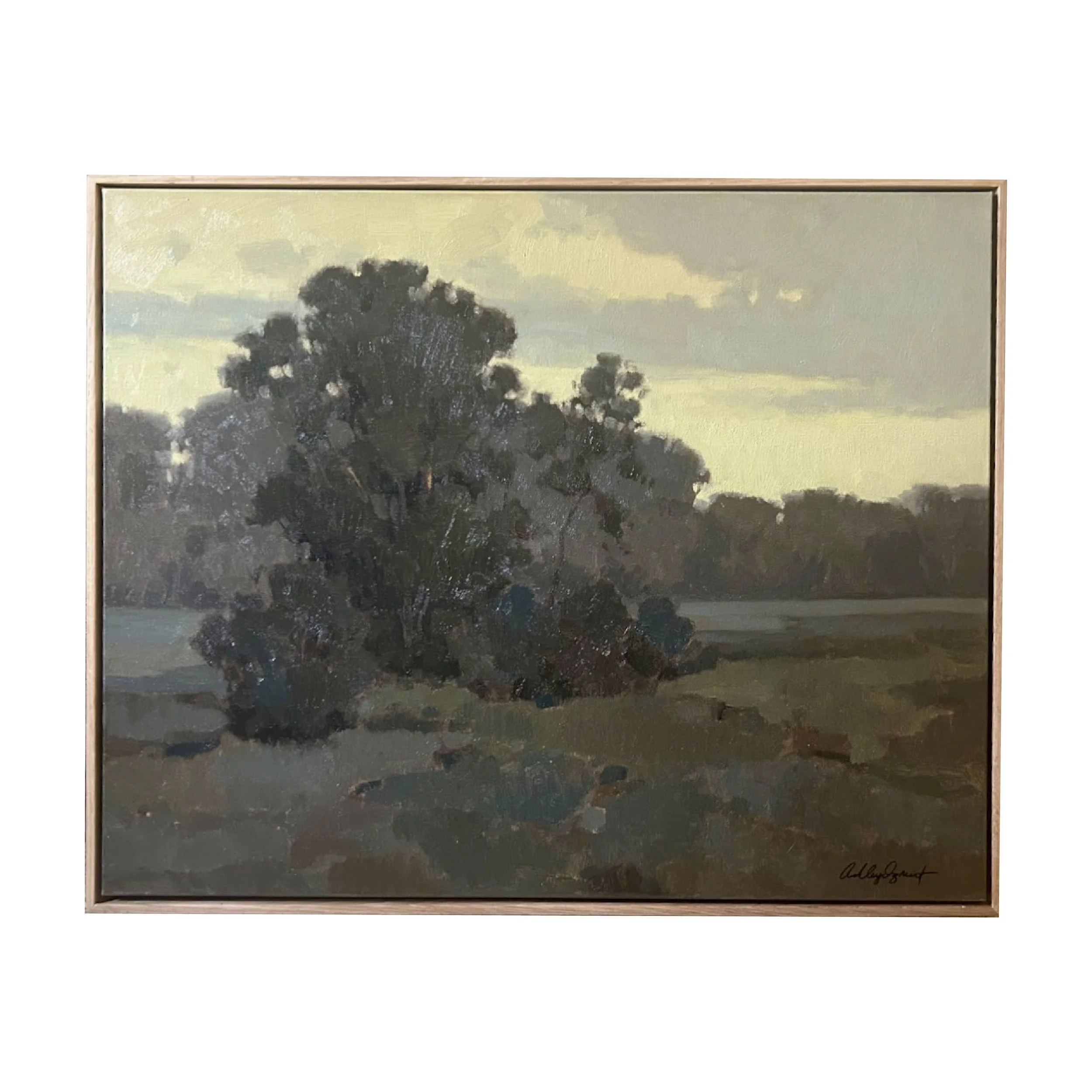 a walk at dusk.jpg