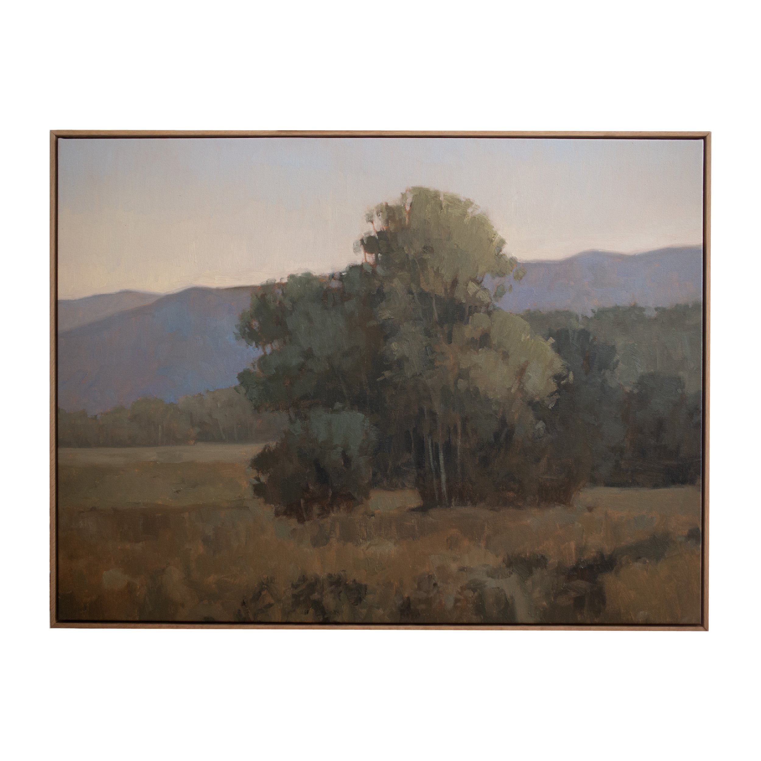 Artboard 1 copy 5.jpg