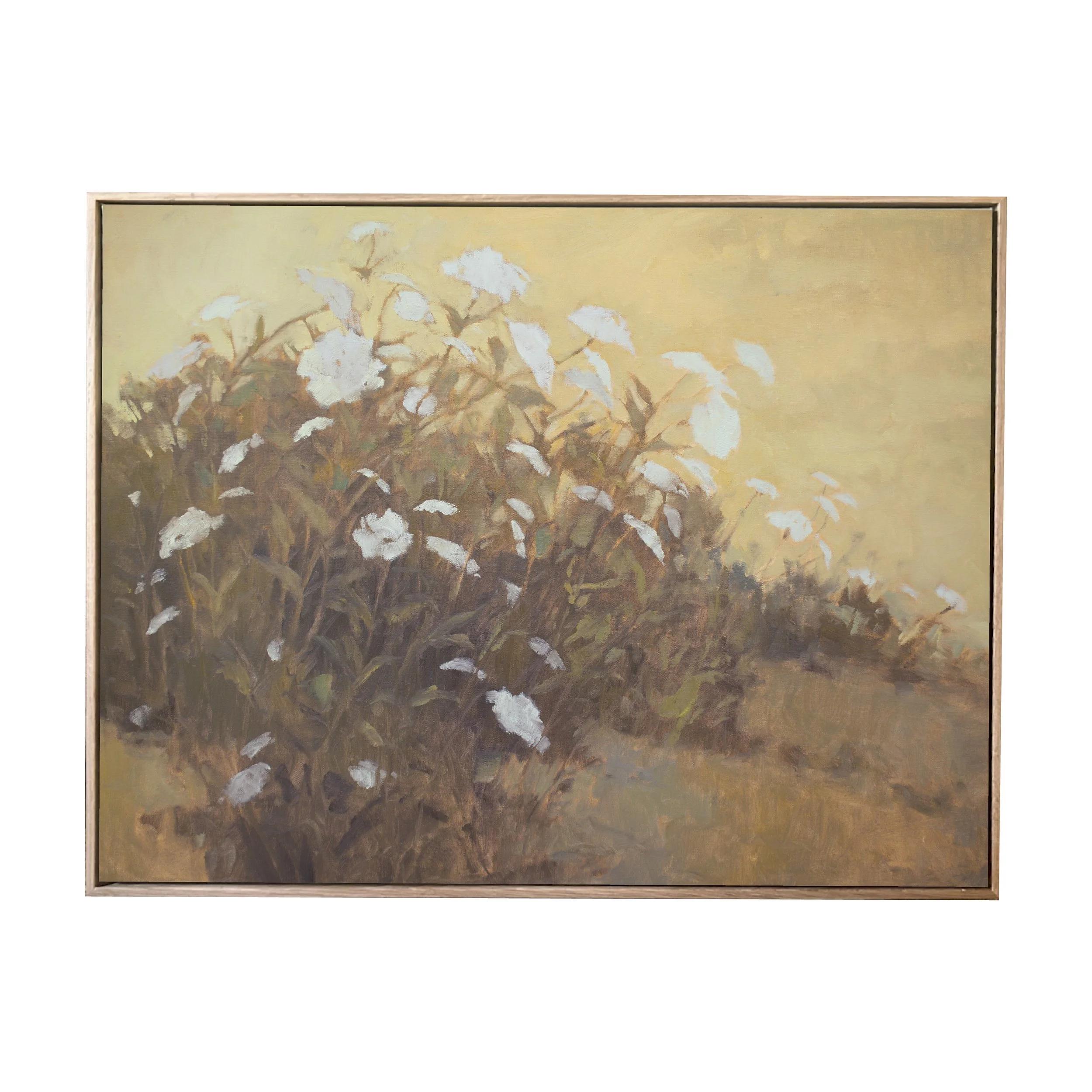 queen annes in ochre.jpg