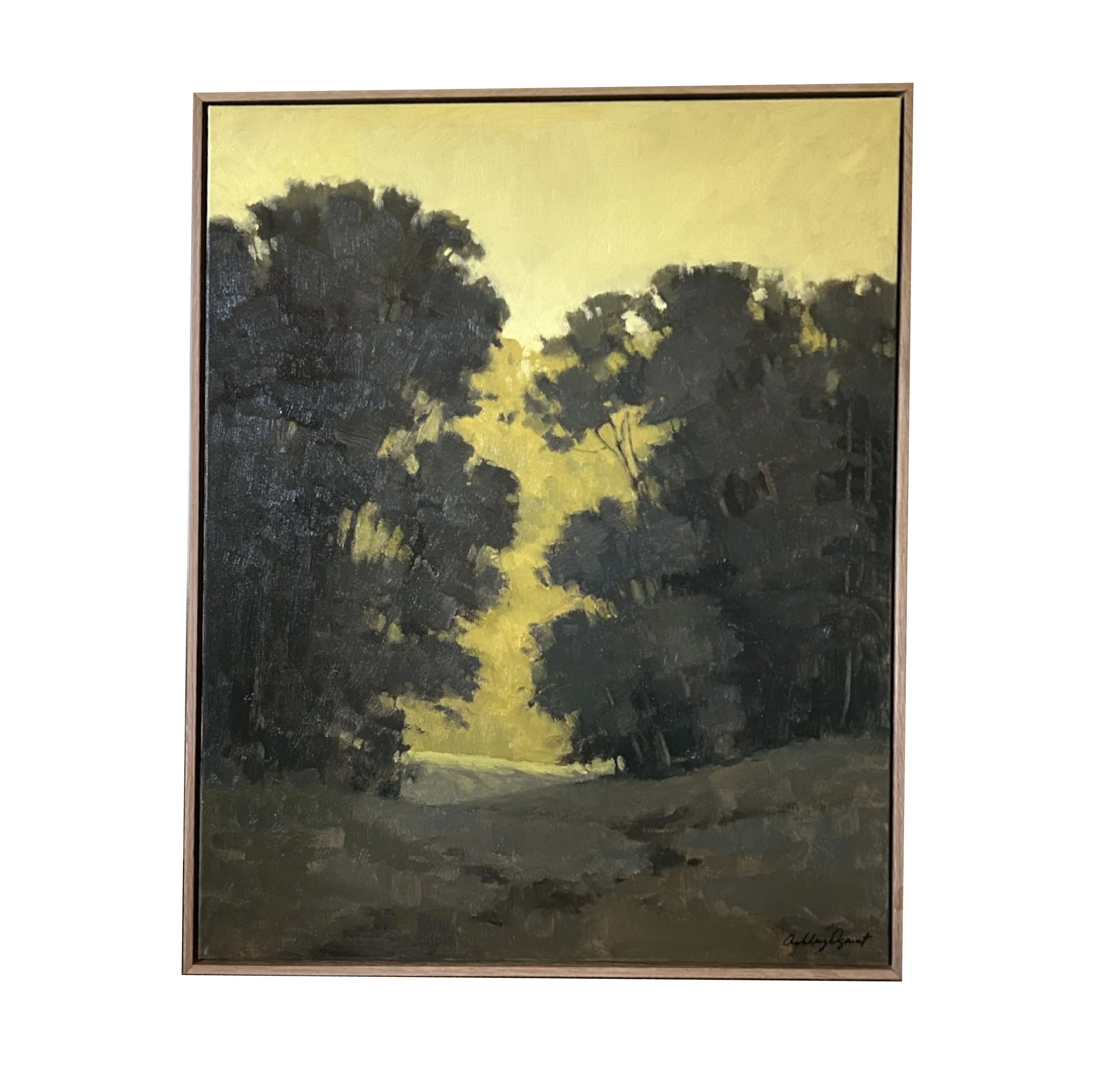 edge of the pine wood.jpg