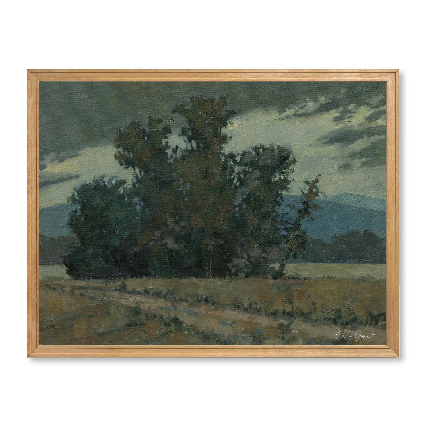 Artboard 16 set-1-28--large-landscape-art-print-Ashley-Ozmint.jpg