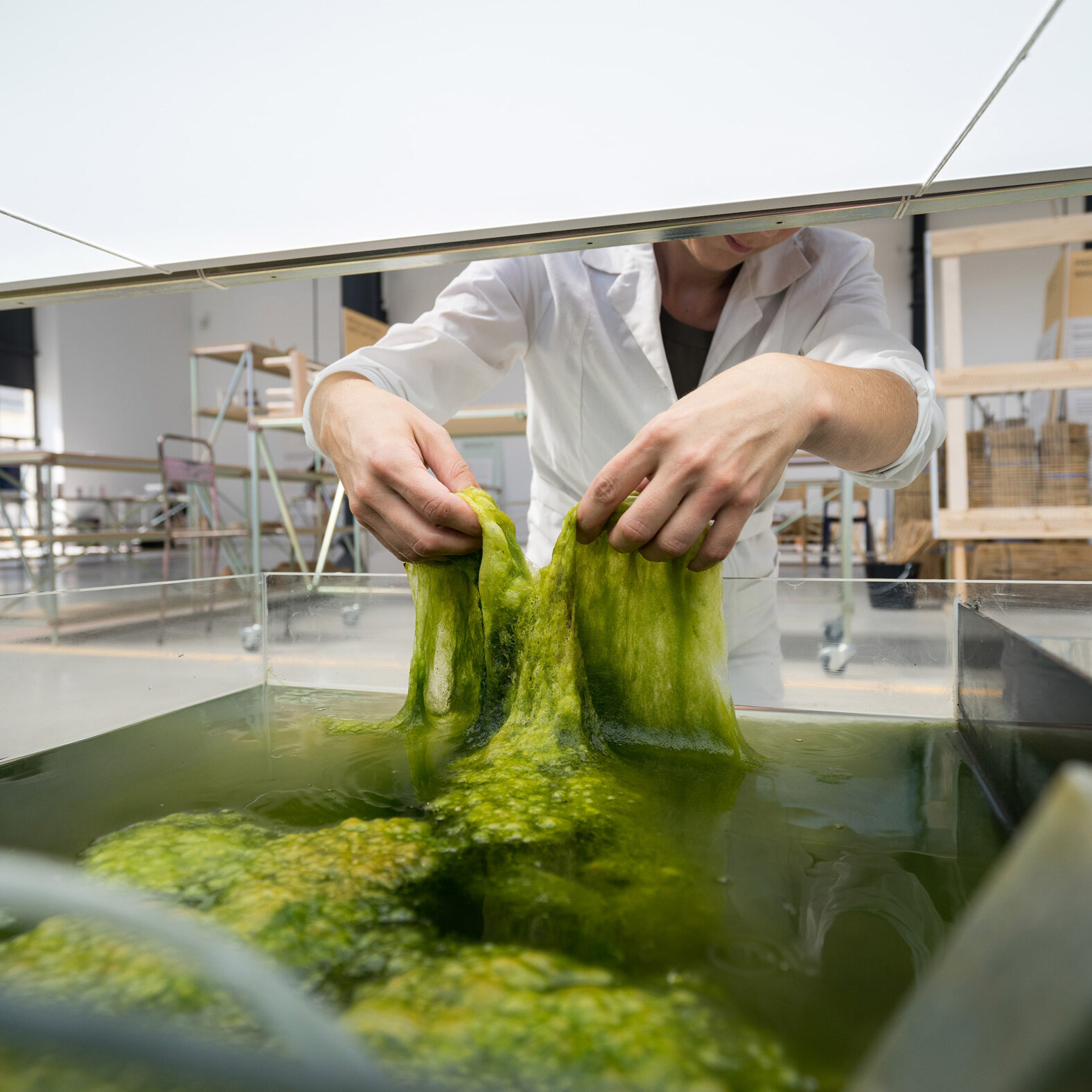 Algae Platform ©atelierLUMA