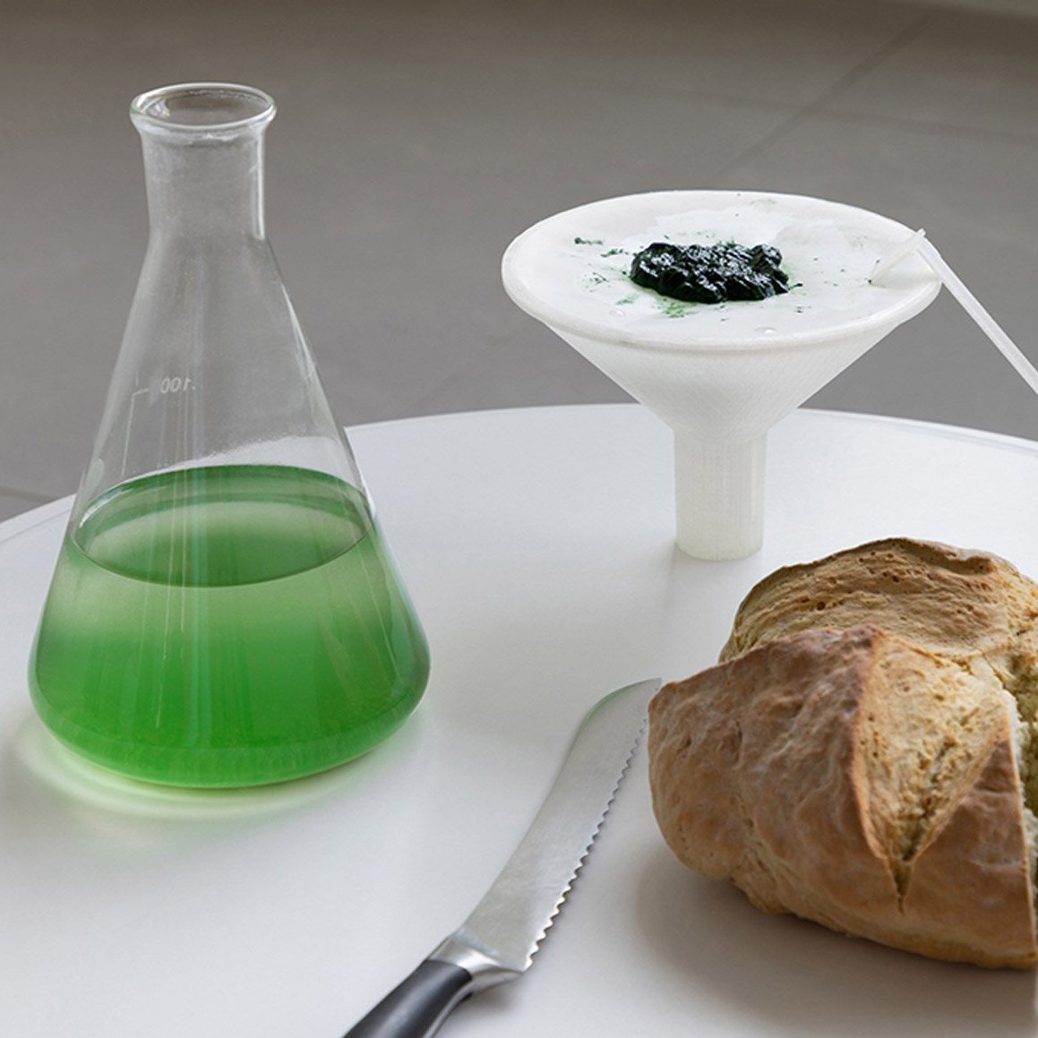 The DIY kit can be used by families at home to cultivate a strain of Spirulina.