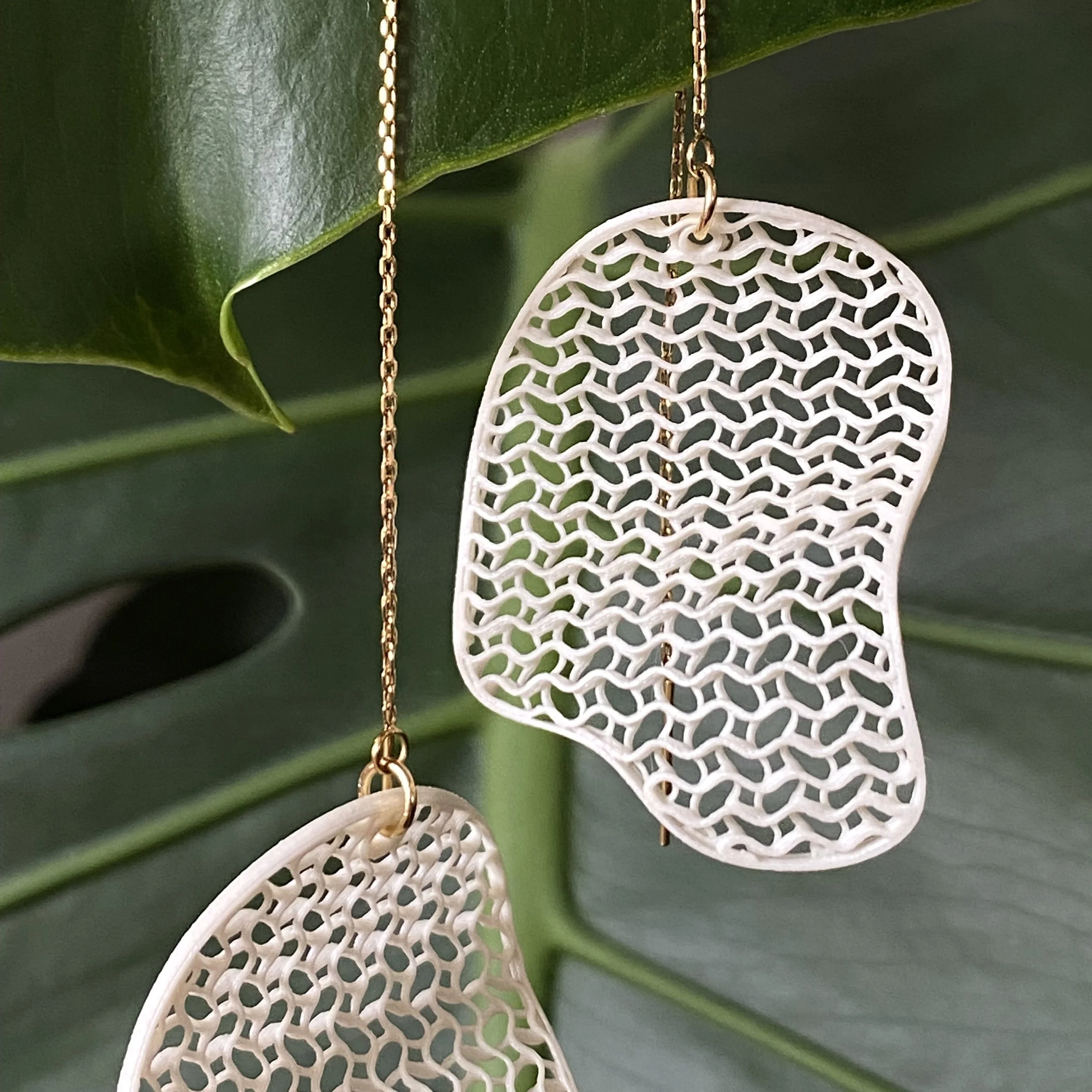 Photo 15-12-2025 12 21 41 copie 2.jpg