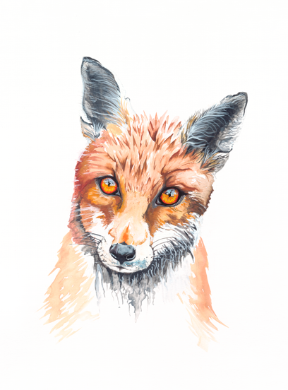 Soul of The Fox  (Limited Edition Giclee High Quality Print)