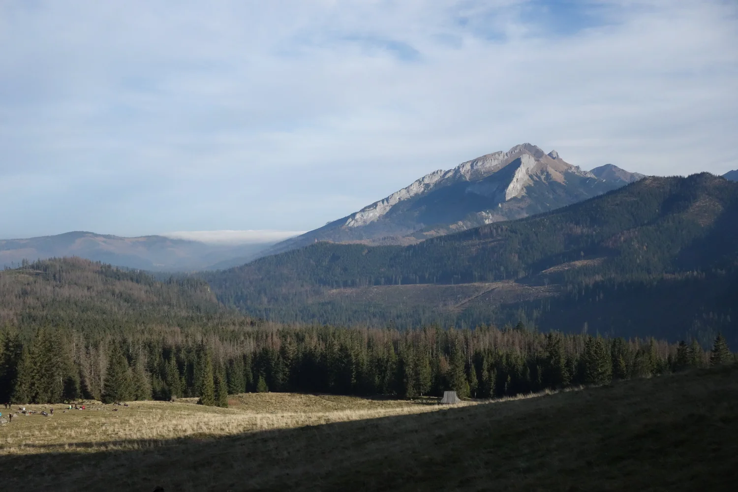 BIGFOOT Management Group Property Management in Helena