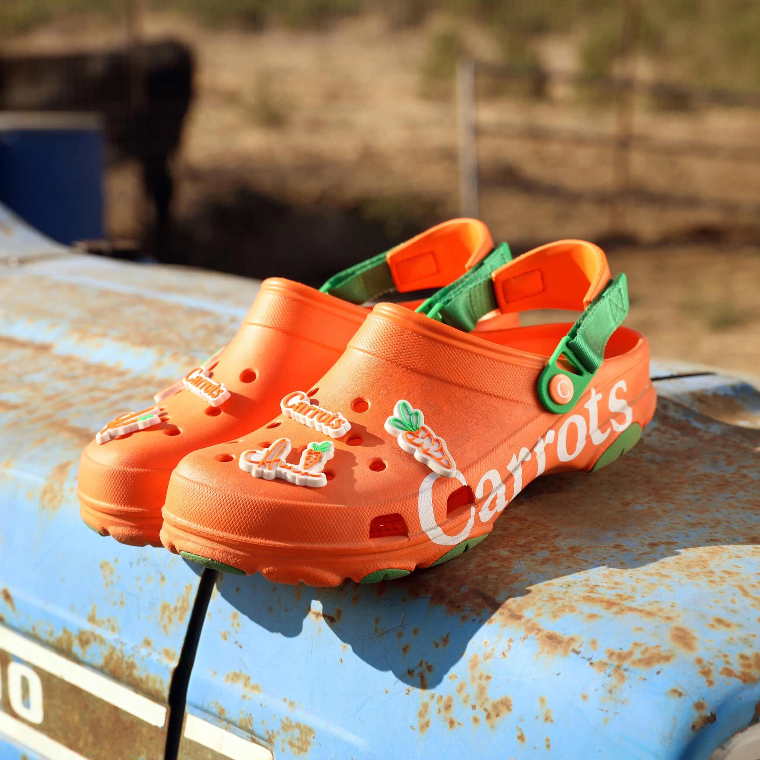 20200914-gh-carrots-crocs_a2.jpg