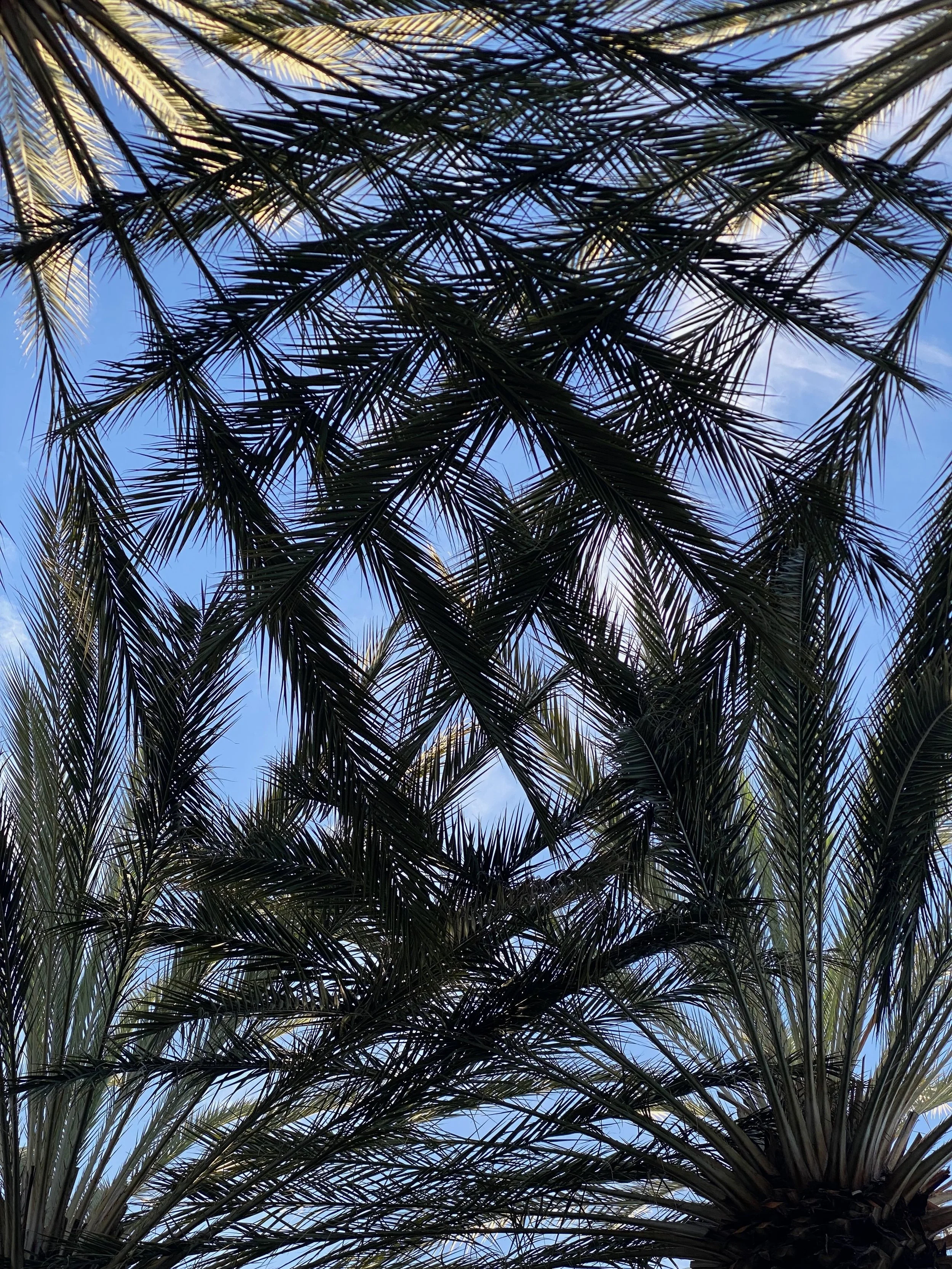 Nature - 2 of 8.jpeg