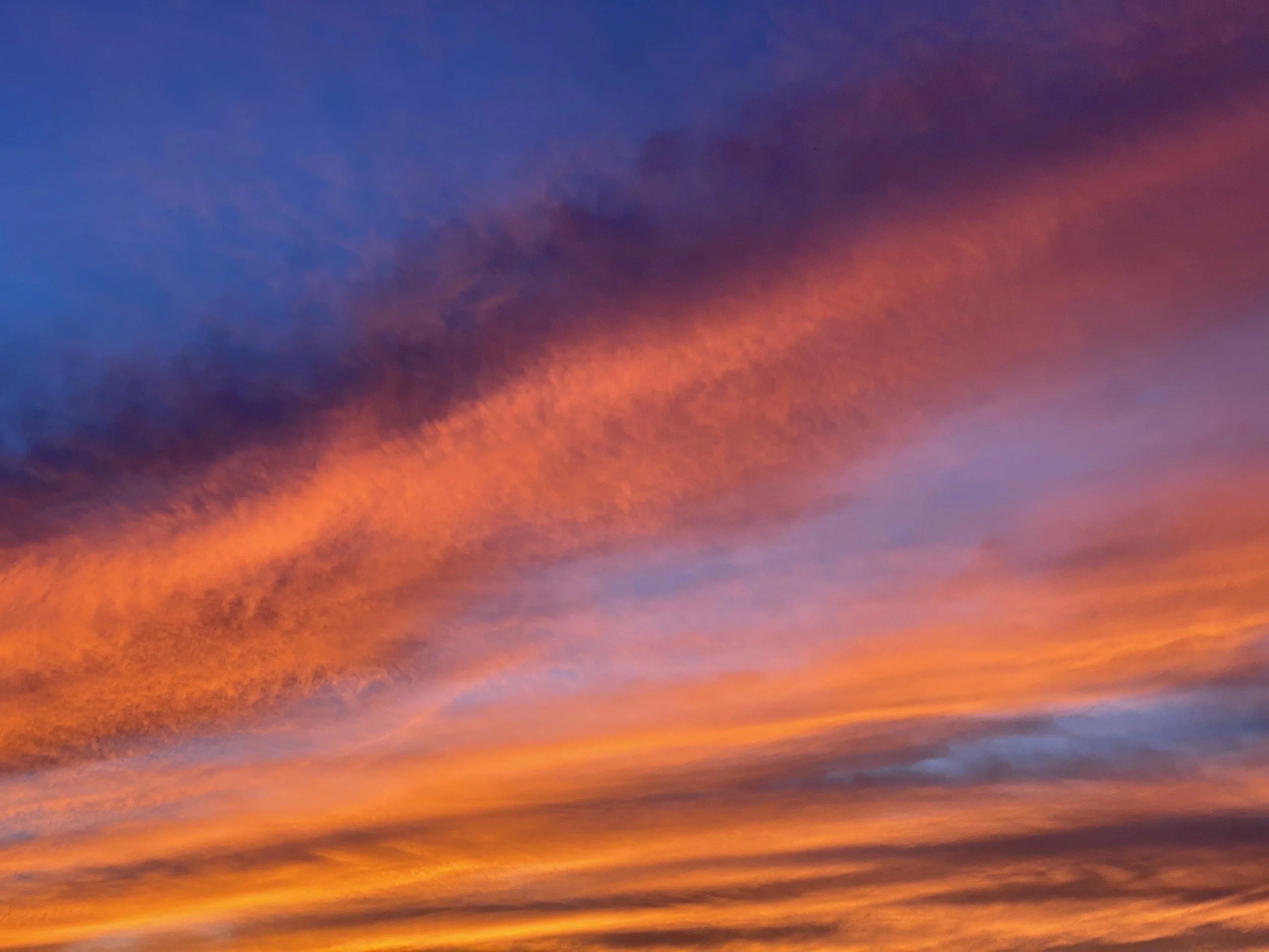 Skies - 4 of 10.jpeg