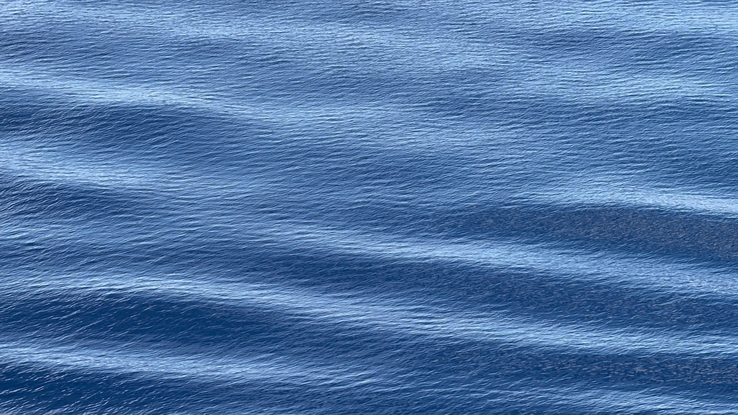 6A2CA05C-639B-4BD5-BE2C-B48D75B364B0.jpeg