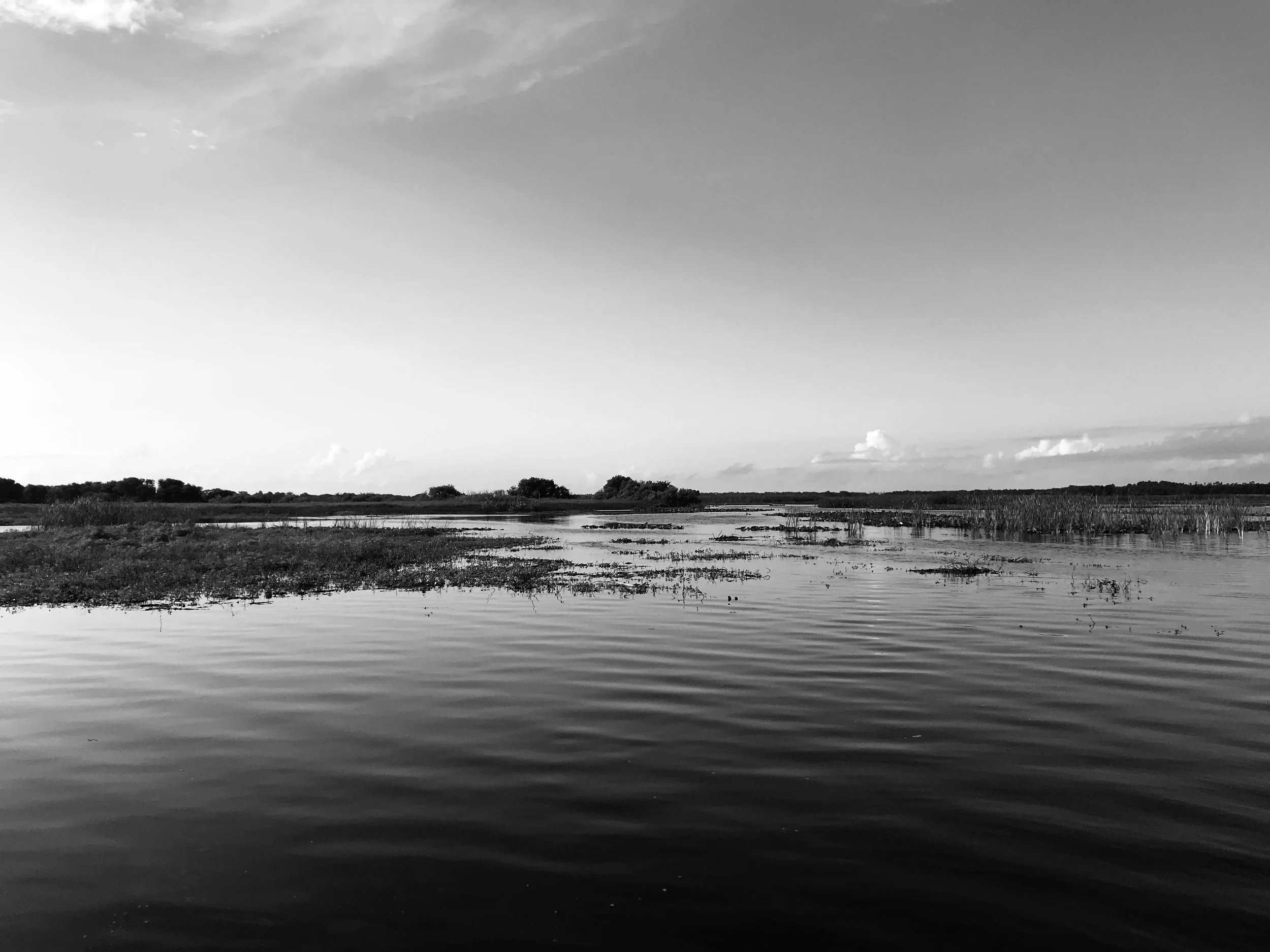 IMG_1582 2.jpg
