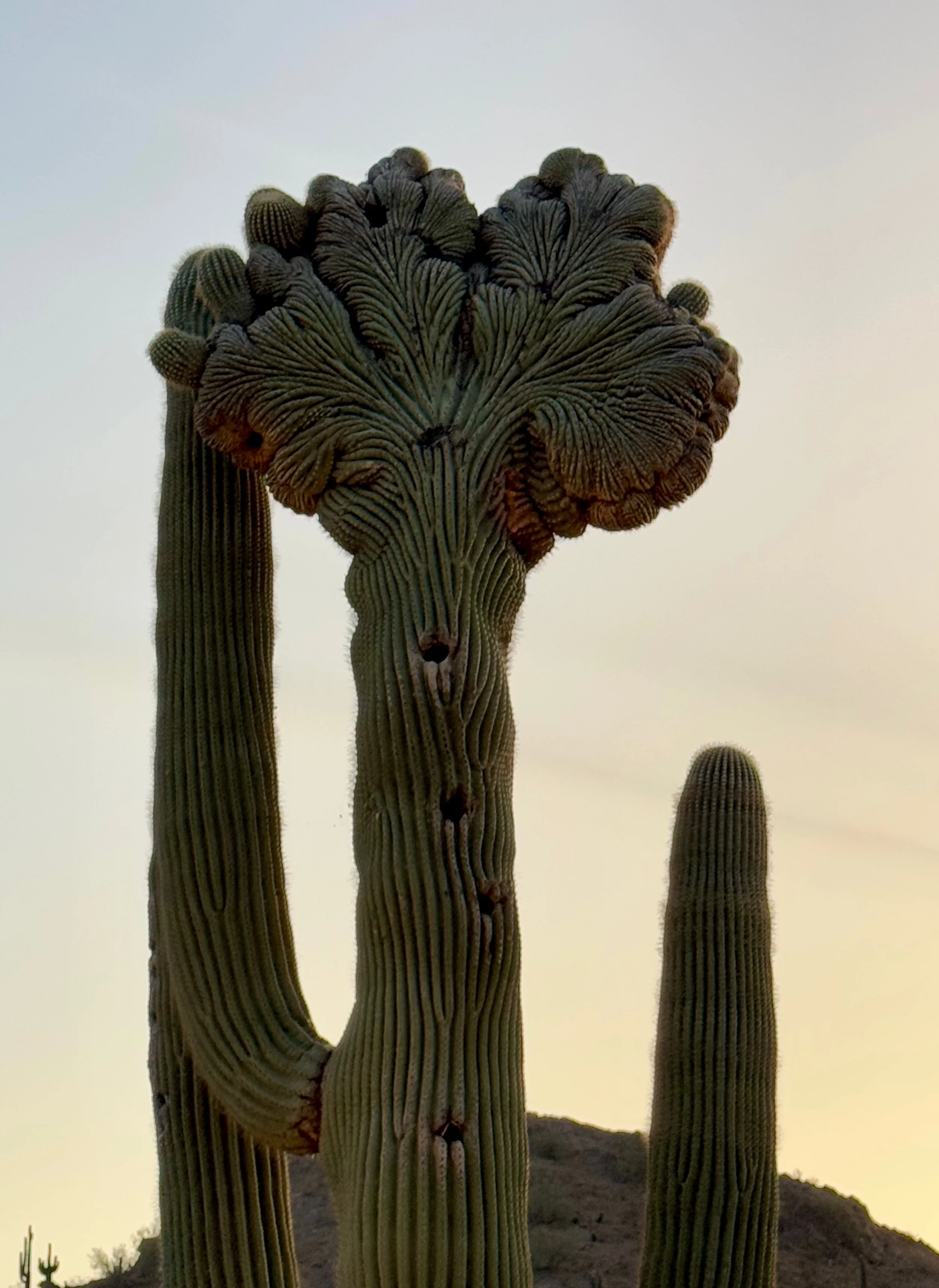 Nature - 7 of 8.jpeg