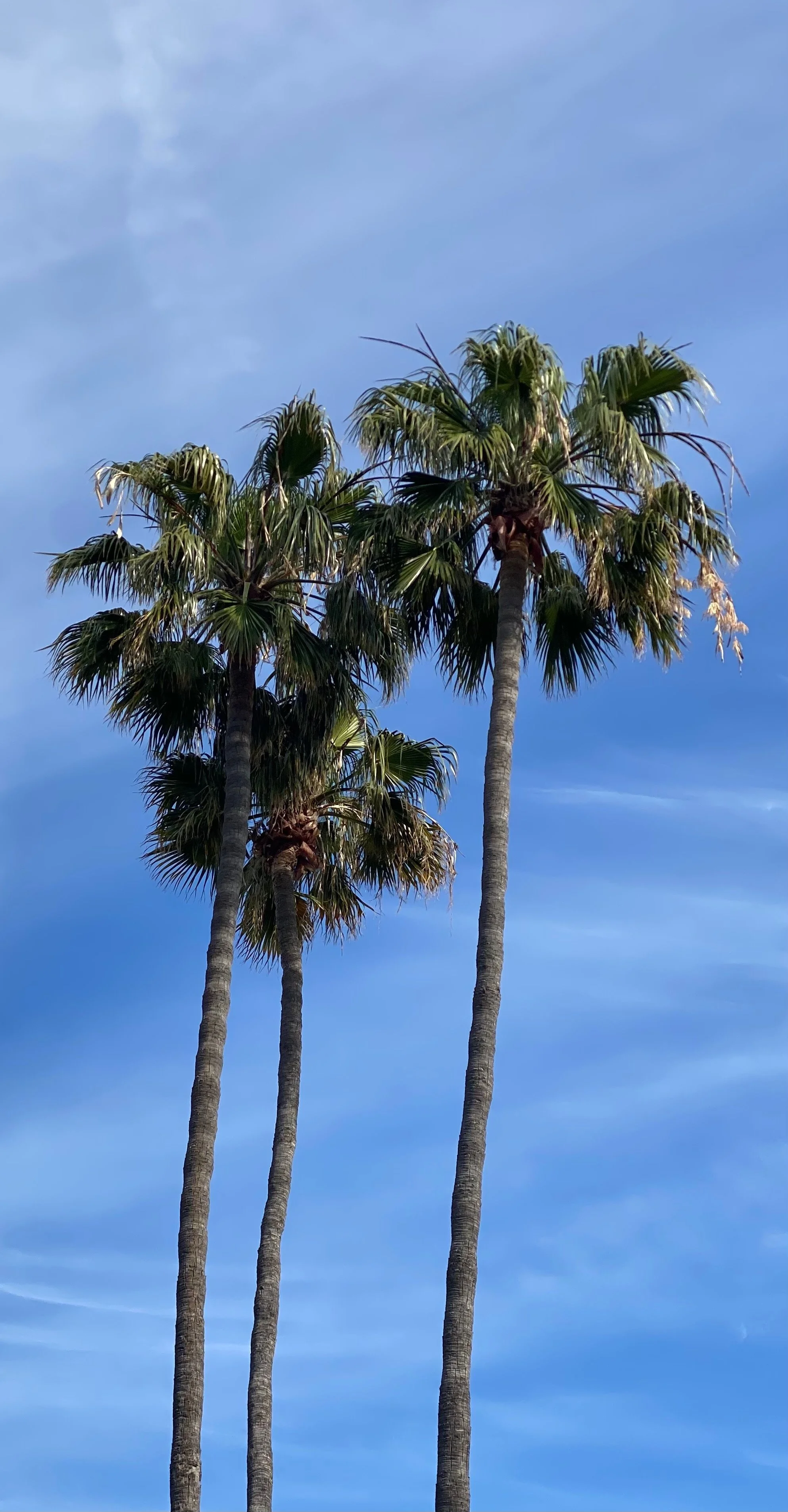 Nature - 1 of 8.jpeg