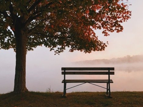 Let  Thanksgiving Open the Door to Lasting Peace