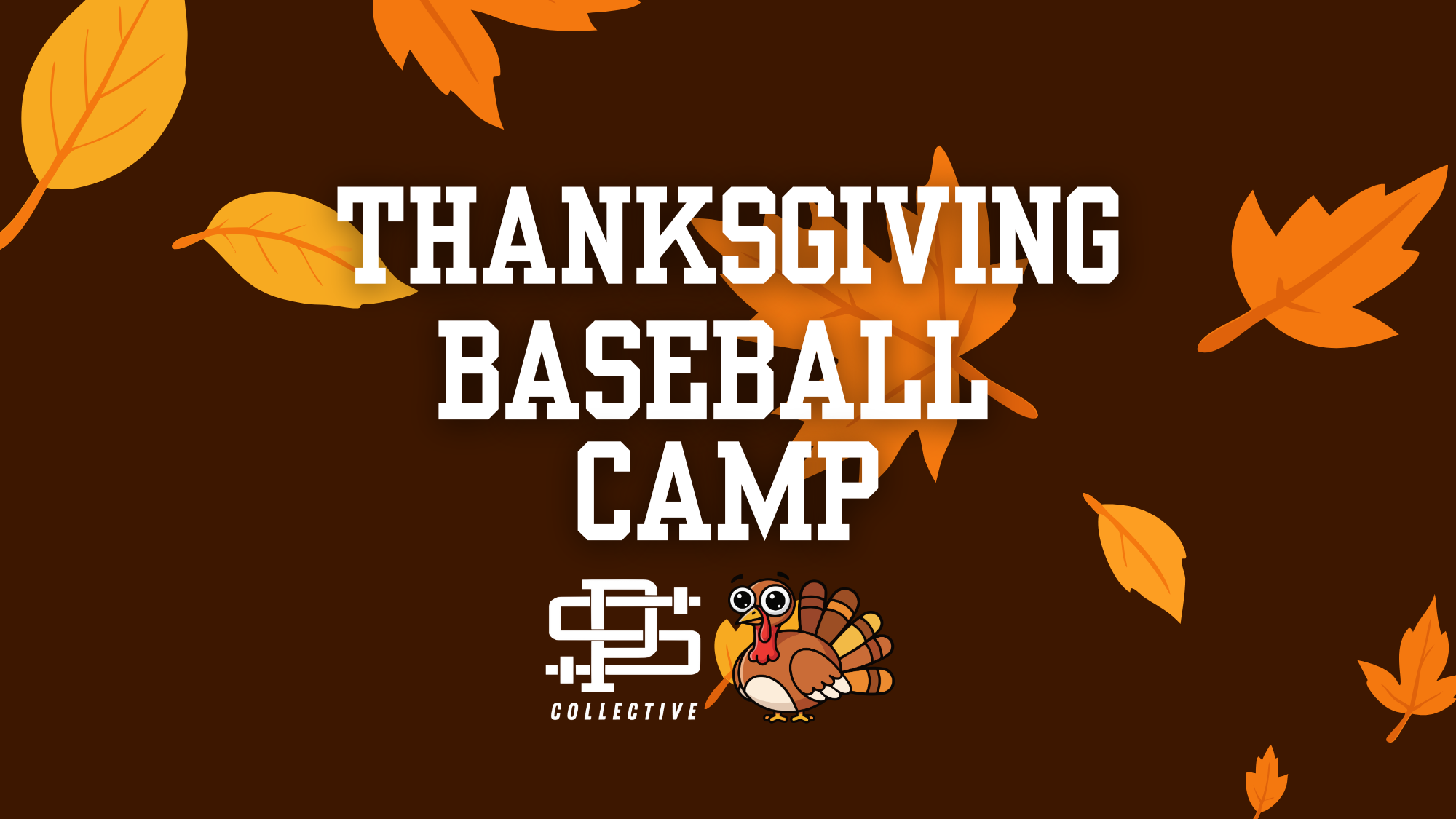 Thanksgiving Baseball Camp 