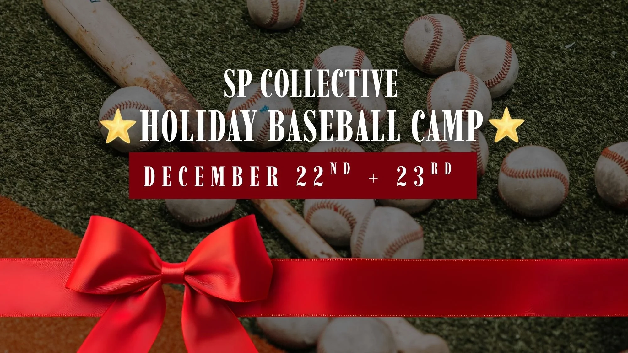 HOLIDAY BASEBALL CAMP