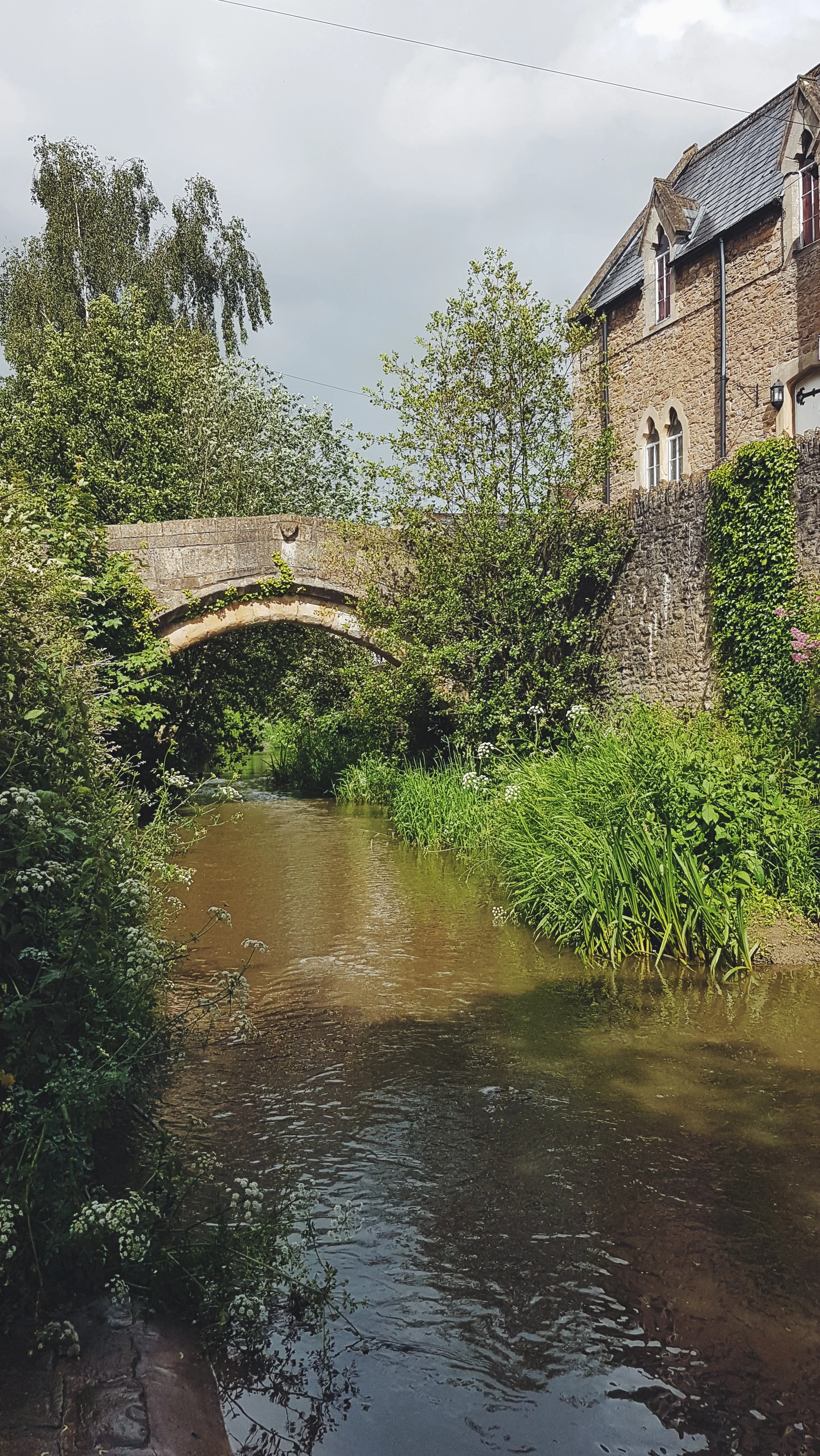 2019-06-08 07.27.46 1.jpg