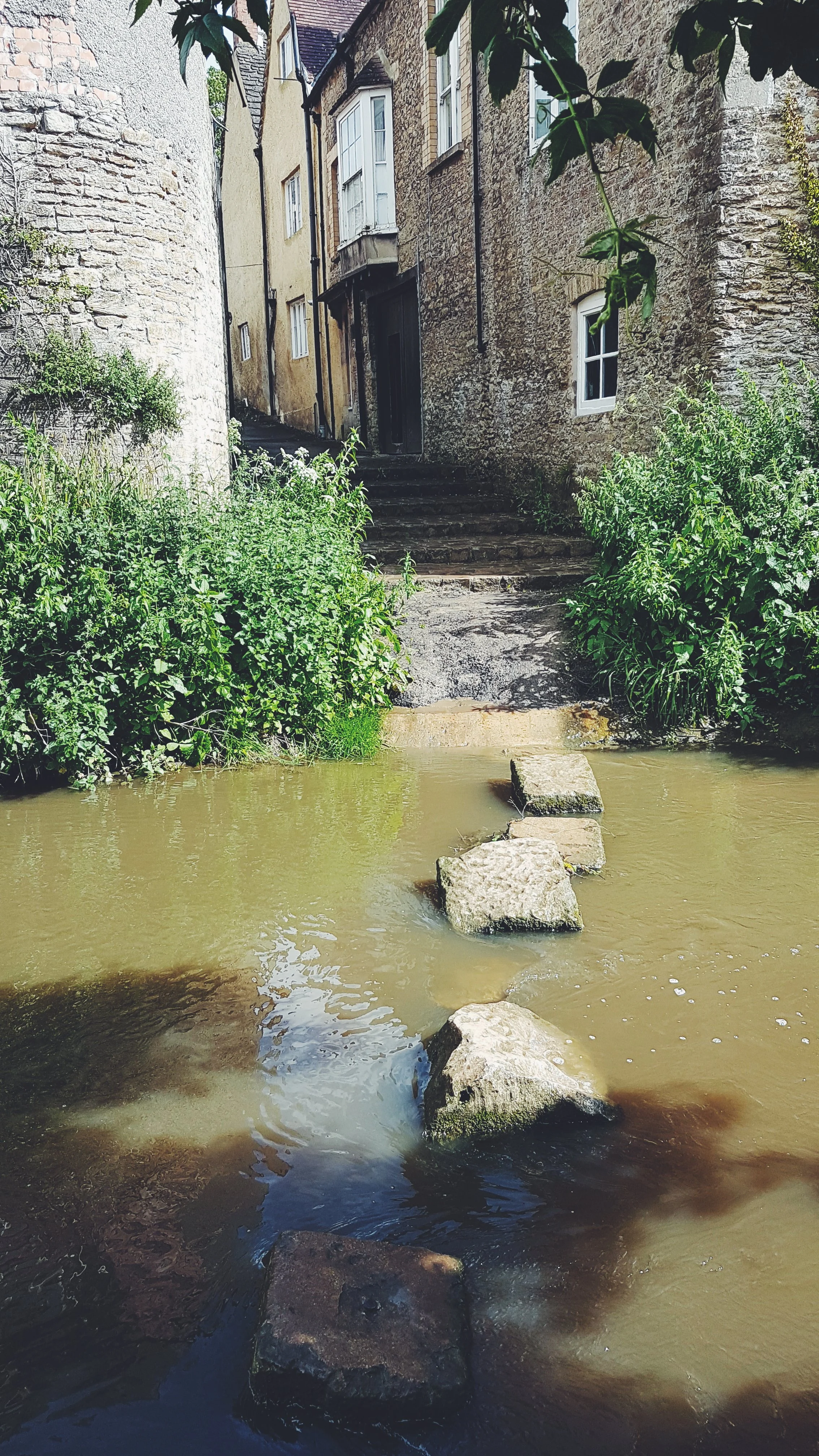 2019-06-08 07.27.45 1.jpg