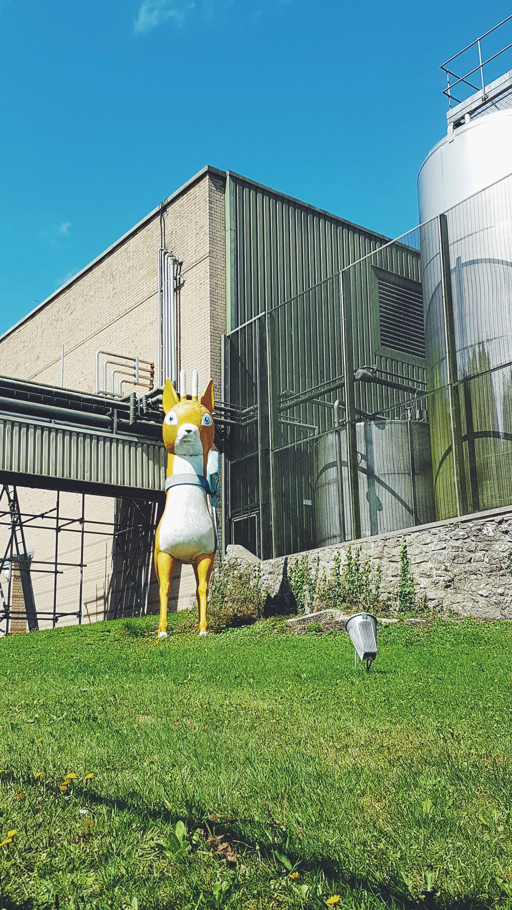 2019-08-18 09.55.31 1.jpg