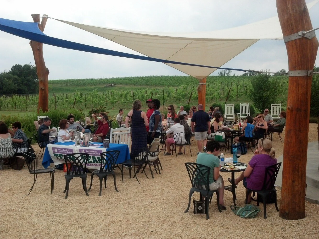 (30801/Champagne) main image 1