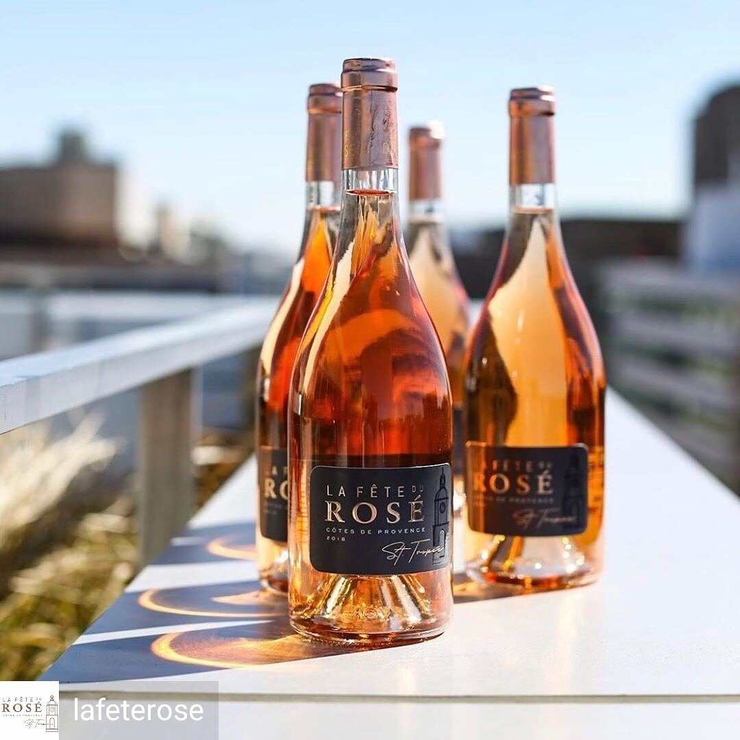 ワイン Rose Vino 301 Wine Concierge
