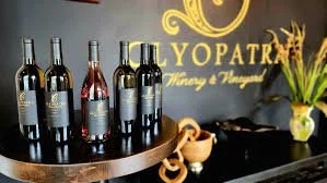 clyopatra wines.jpg