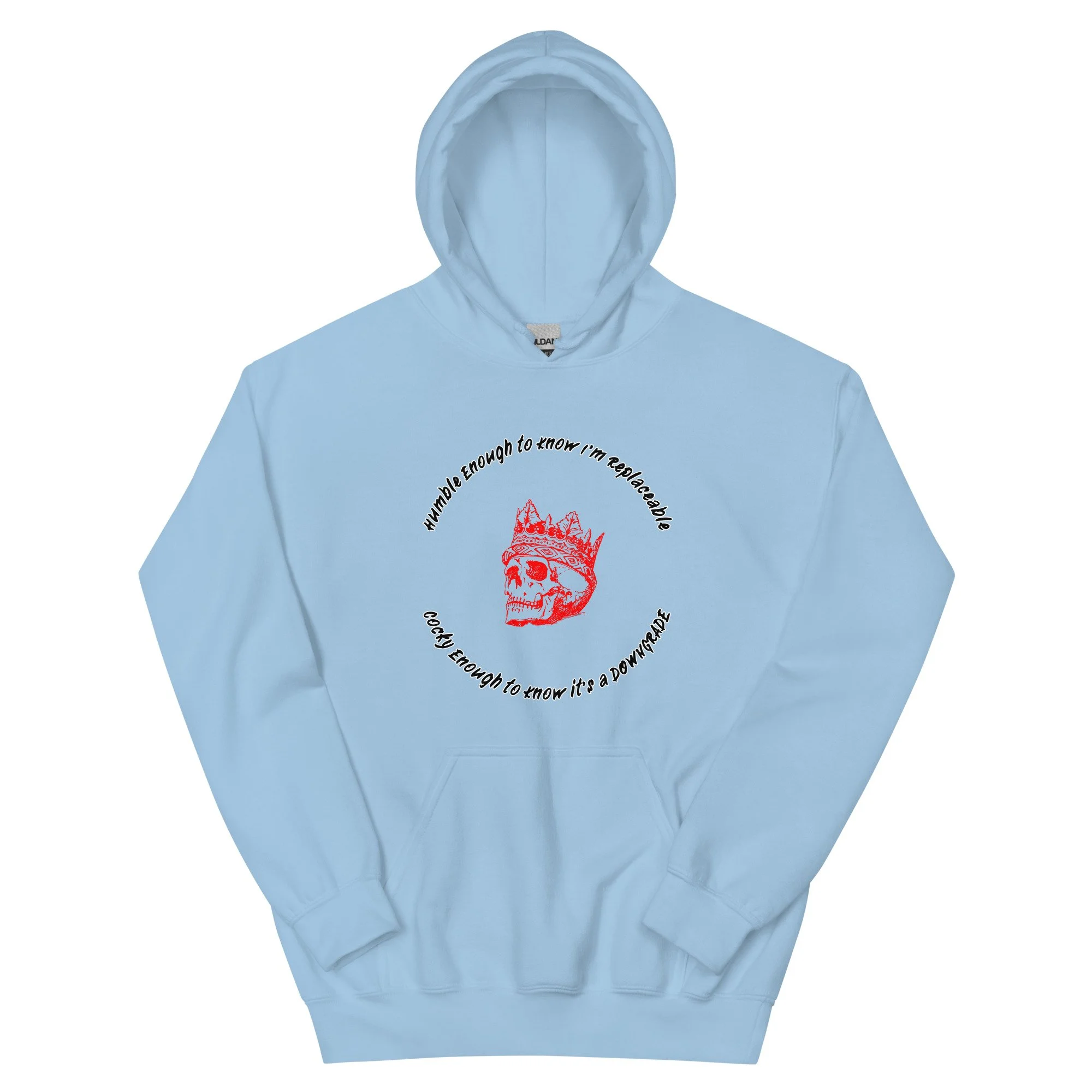 unisex-heavy-blend-hoodie-light-blue-front-68b1b5a4058f1.jpg