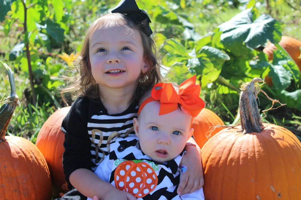 Pineapples and Peonies - Around RVA: Lloyd Family Farms