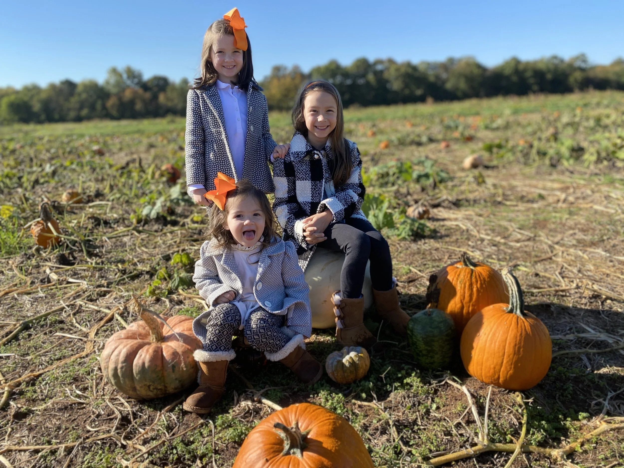 Around RVA: Lloyd Family Farms