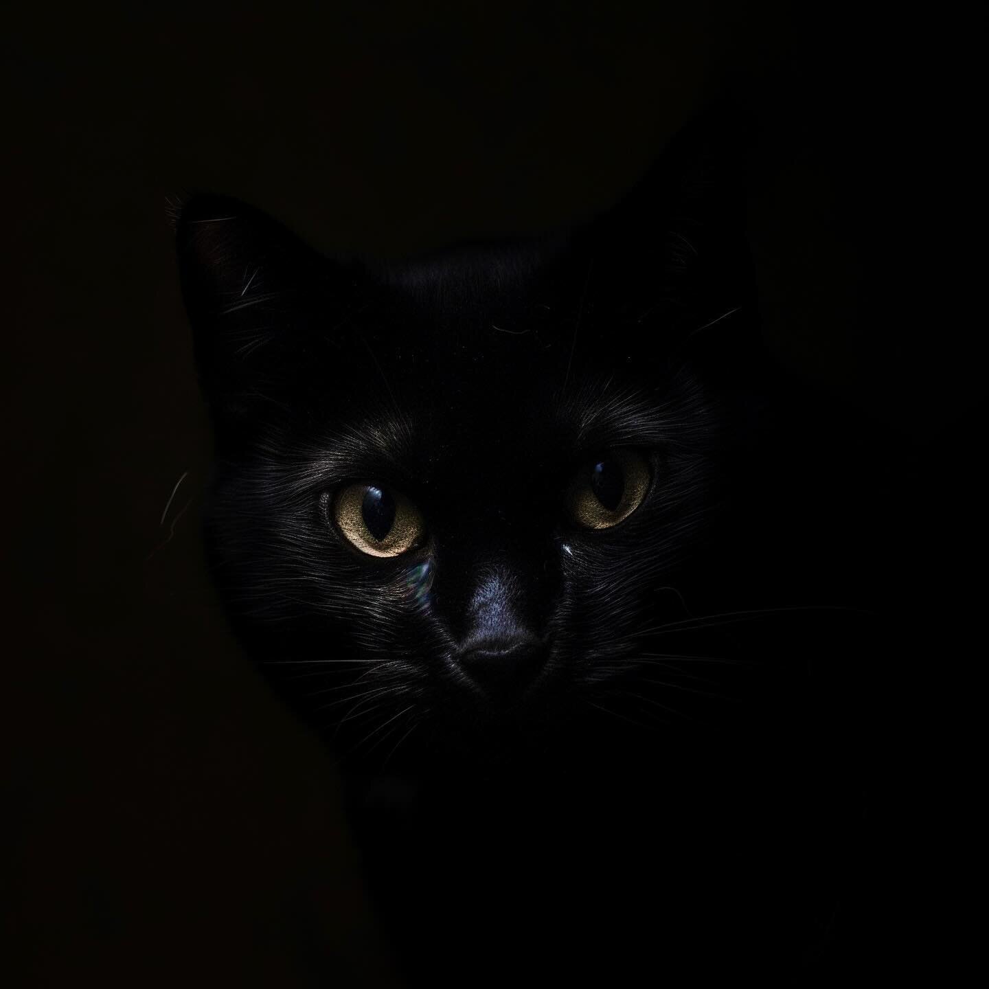 Black cat at midnight 

Made with MidJourney v6

#aiart #aigeneratedart #generativeart #digitalart #art #aiartcommunity #midjourney #midjourneyai #midjourneyv6 #black #cat #blackcat #dark