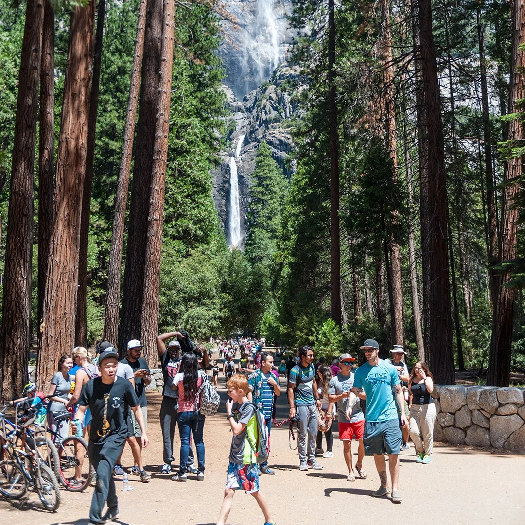 Yosemite Village Vision Plan