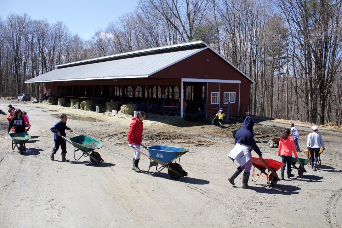kids working on farm