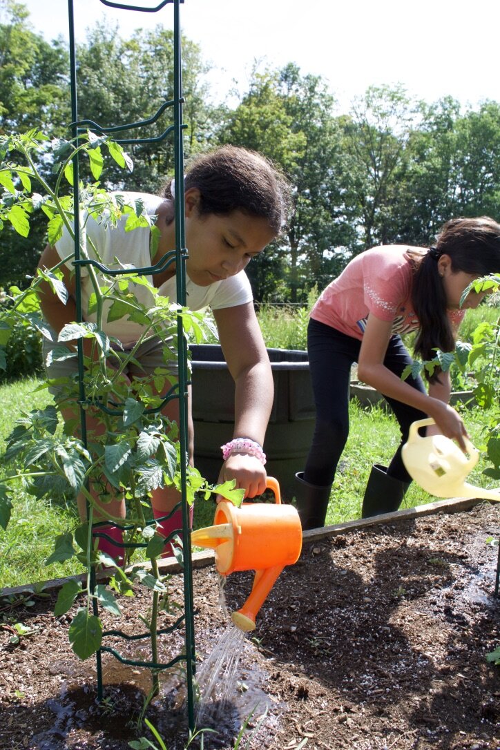 Kids working in garden