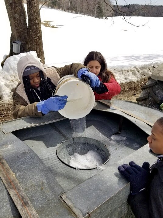 Kids pouring maple syrup into tank